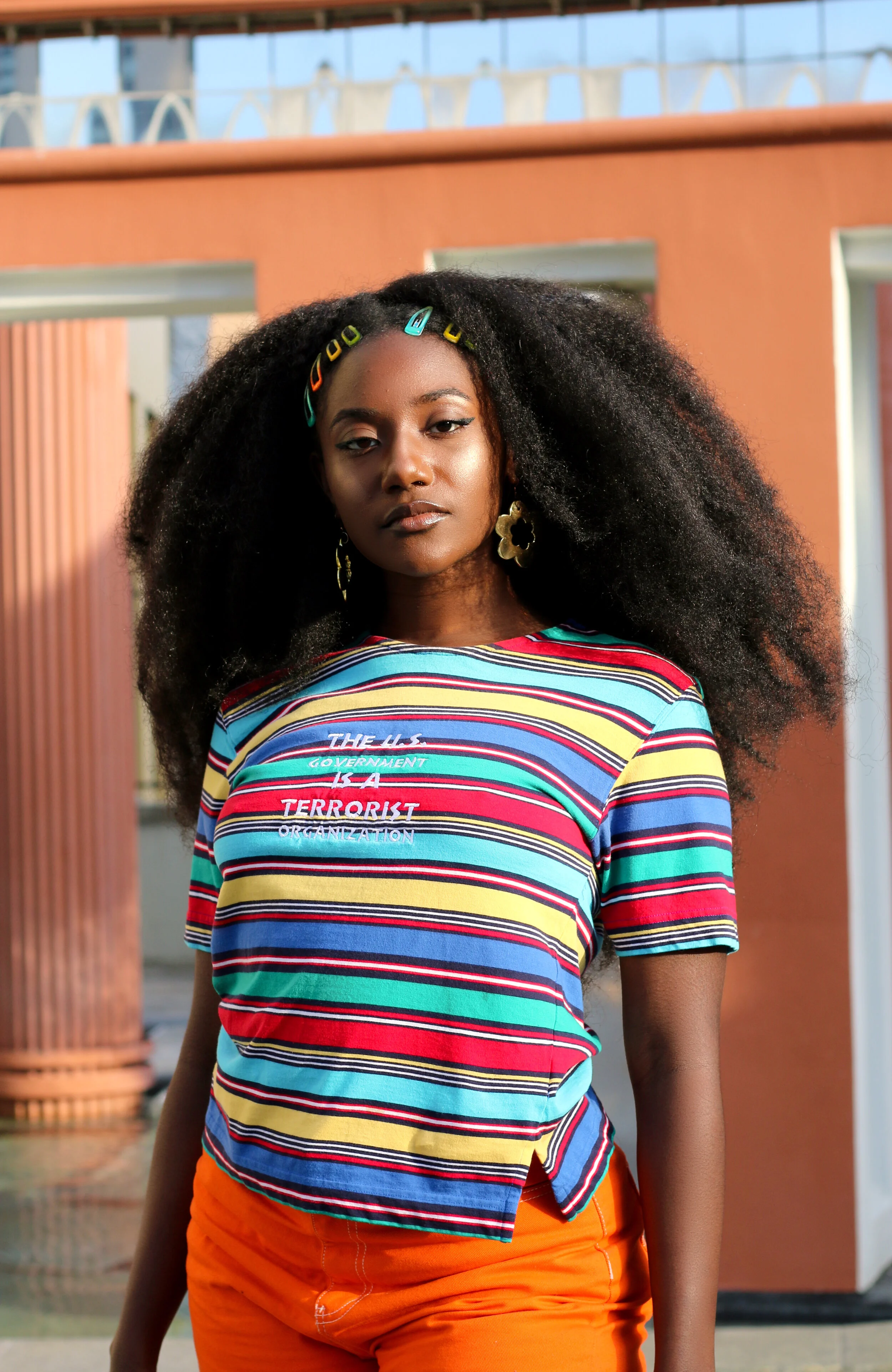 The U.S. Government is a Terrorist Organization Tee