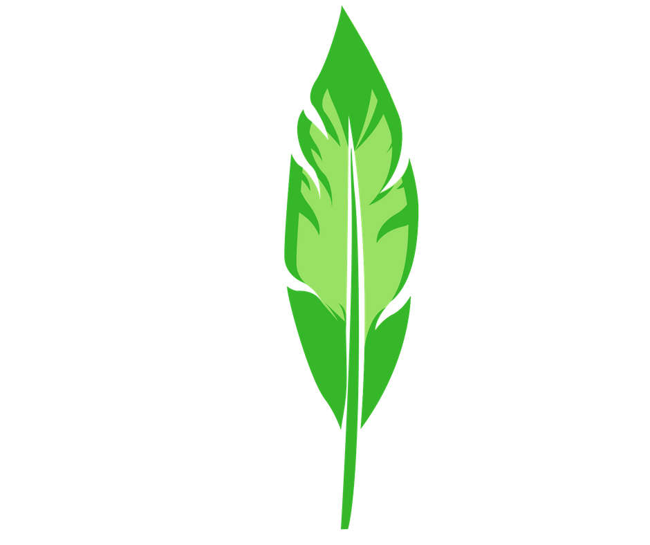 feather viva-city.png