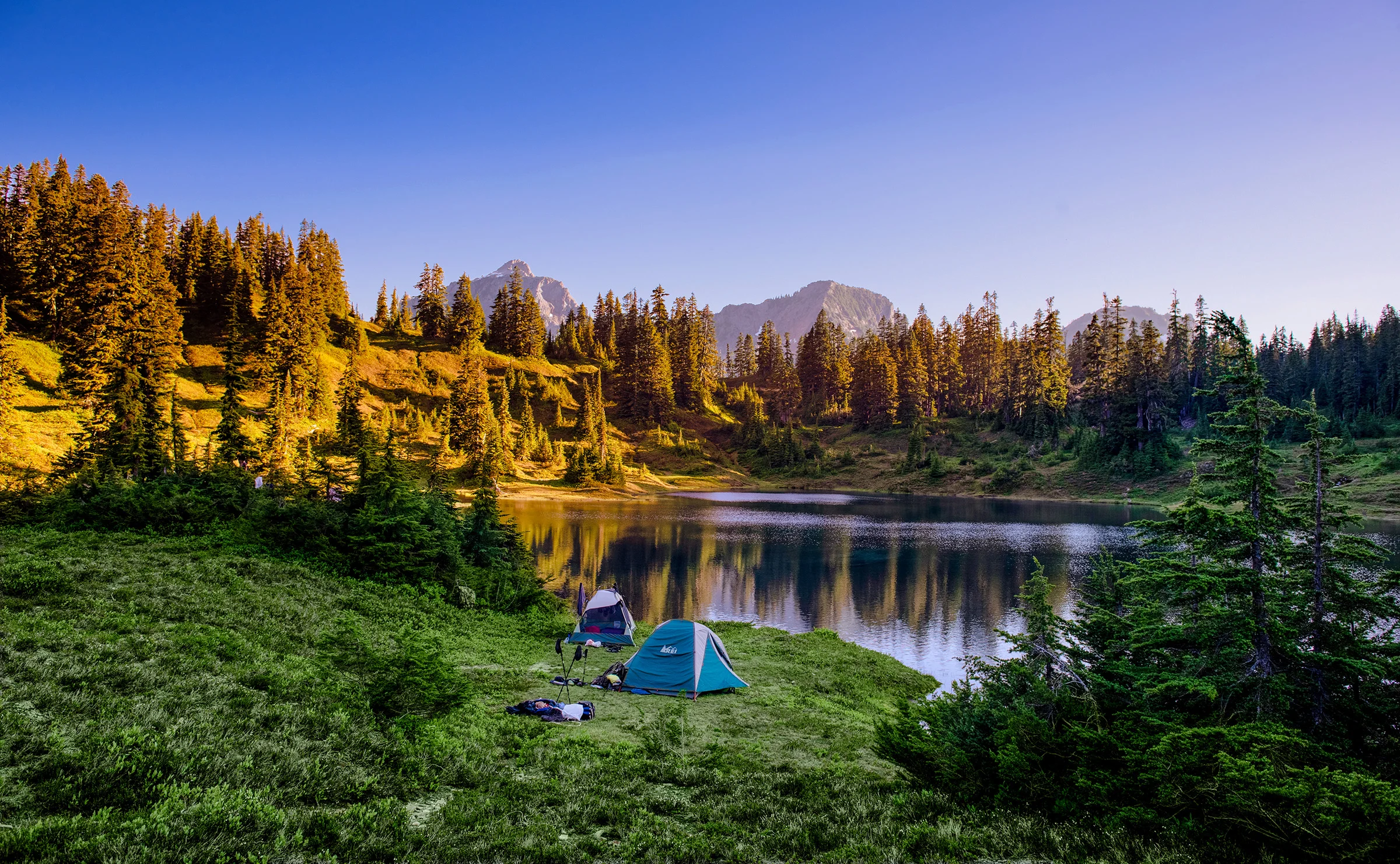Taking an evening rest next to Park Lake North (47°27'16.3"N 121°17'29.0"W)
