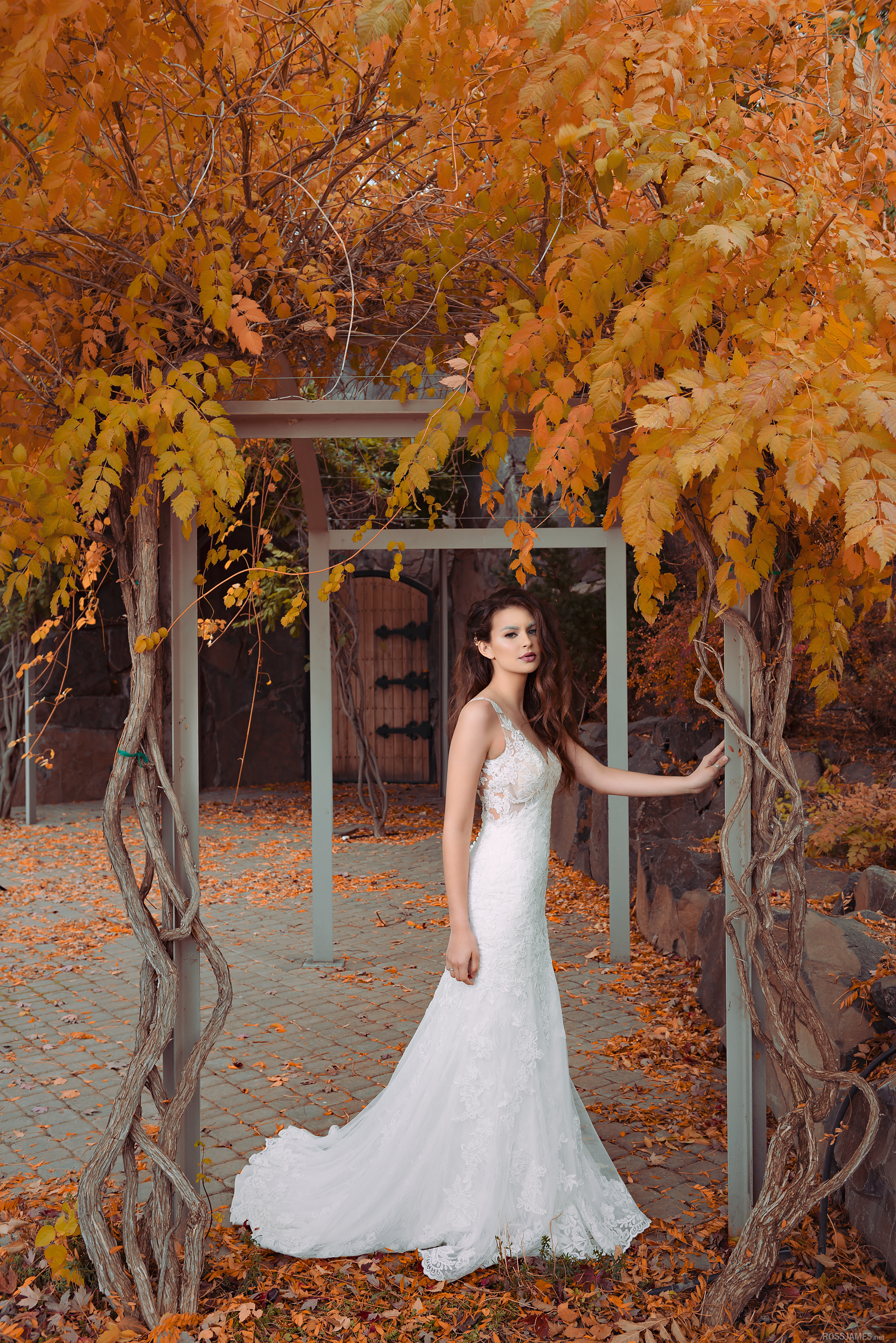 REGAL WINTER INSPIRATION SHOOT // @509Bride / Photography @rossjamesphoto / Planning & styling @bliss.events.wa / Venue @terrablancawine / Florals @luxurybloomsfloraldesign / Gown @amysbridalboutique / Cake @layeredcakeartistry / Hair @hairbygalaursul / Makeup @amyrene_mua / Models @nataliebadgley @levidzamora