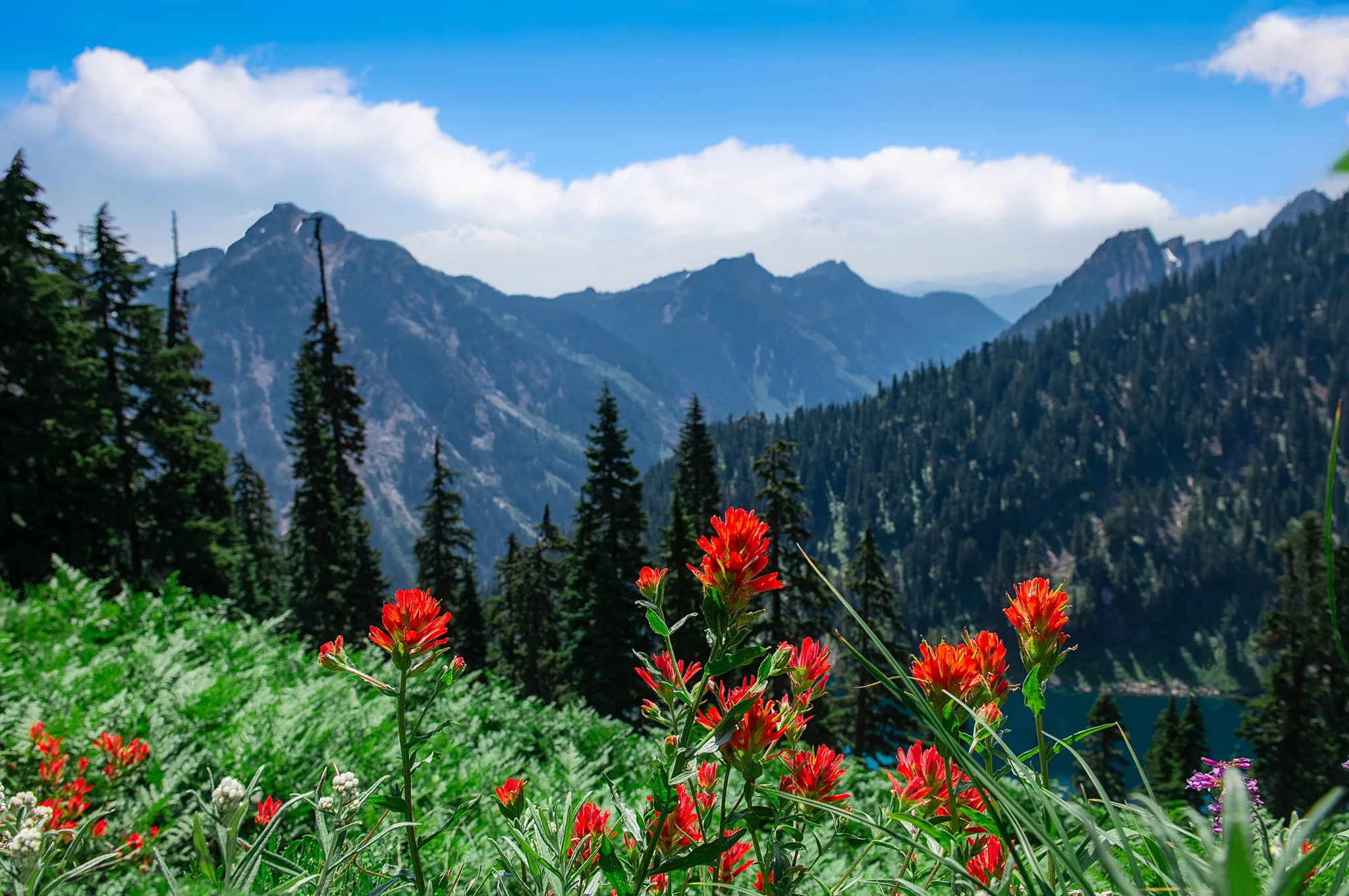 801_3316-HDR+ 2k.jpg