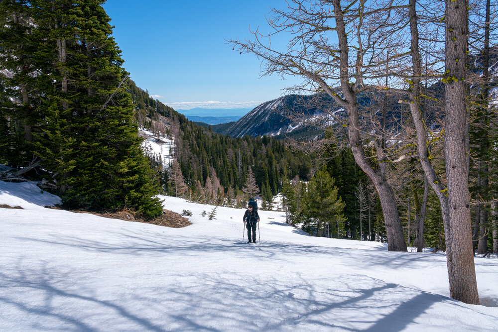 Entering open terrain