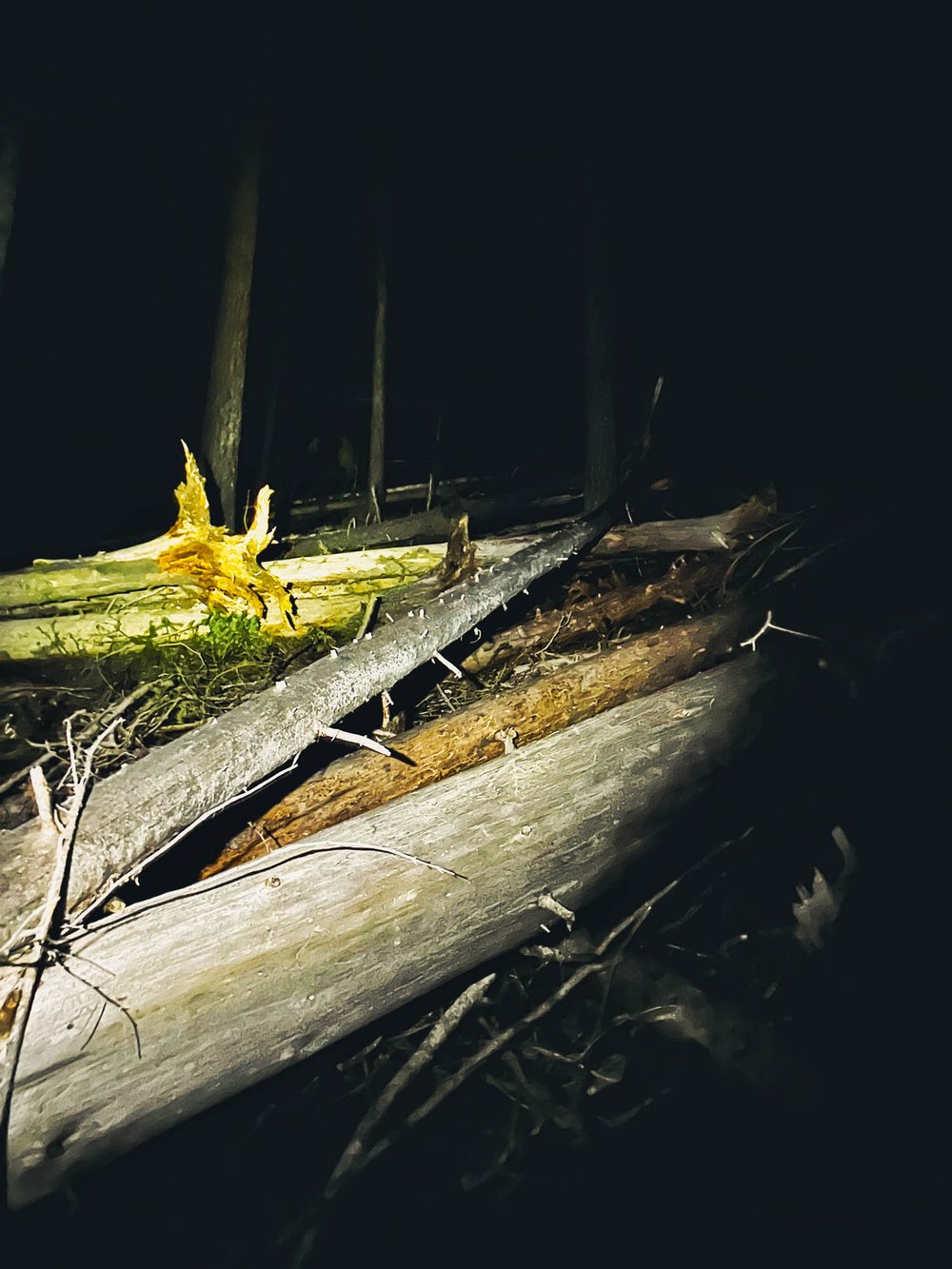 Blowdowns on steep terrain