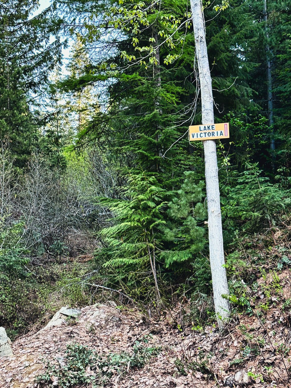 Trail sign at 2560'