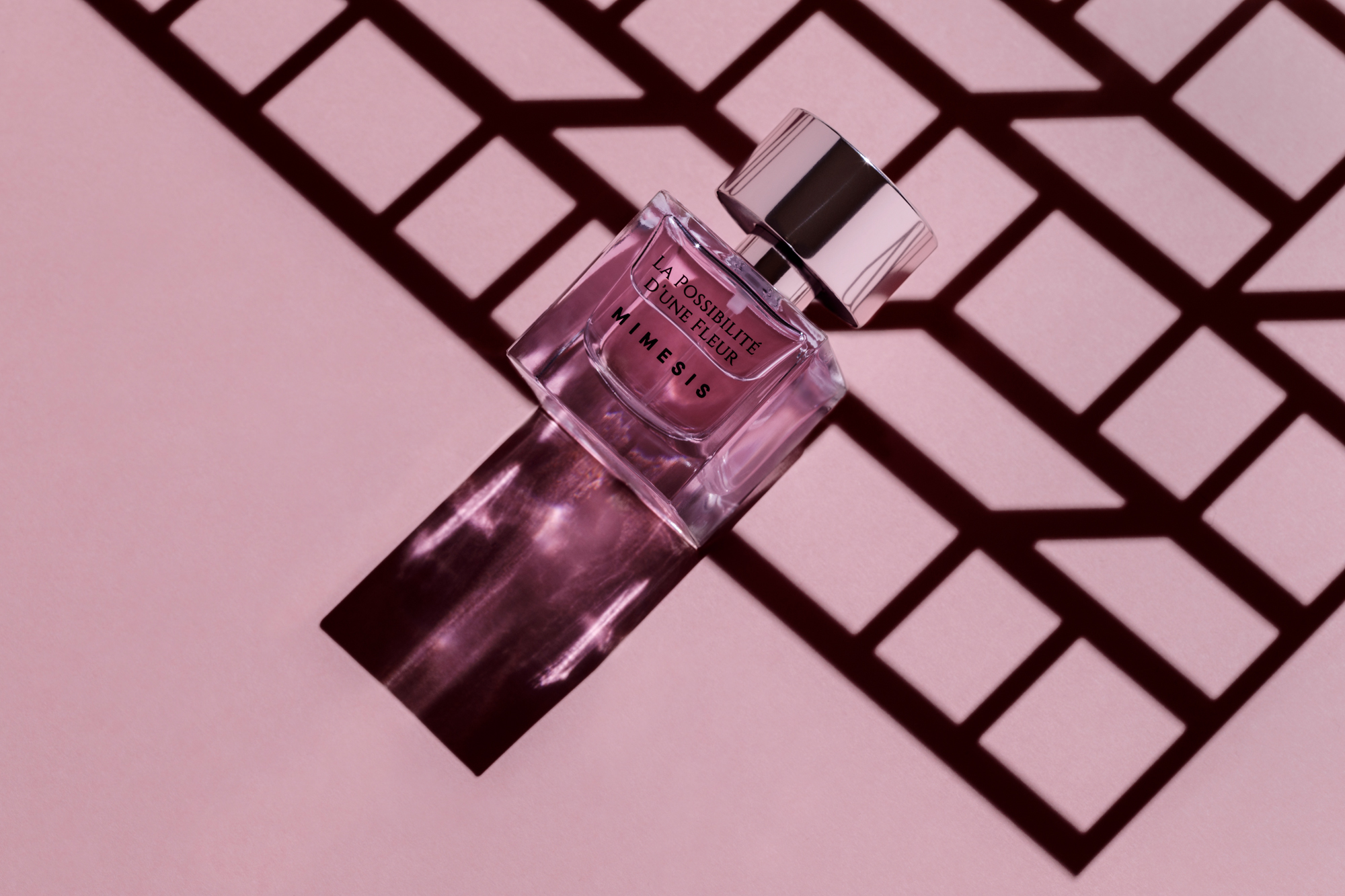 Mimesis-Possibilité fleur ombre-par_Thomas_Behuret_1 copie.jpg