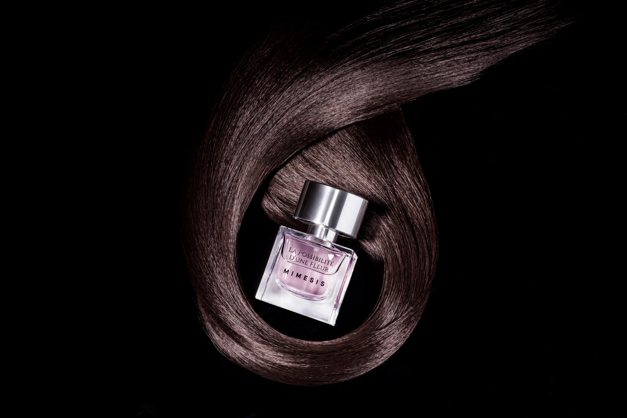 Mimesis-Possibilité cheveux-par_Thomas_Behuret copie.jpg