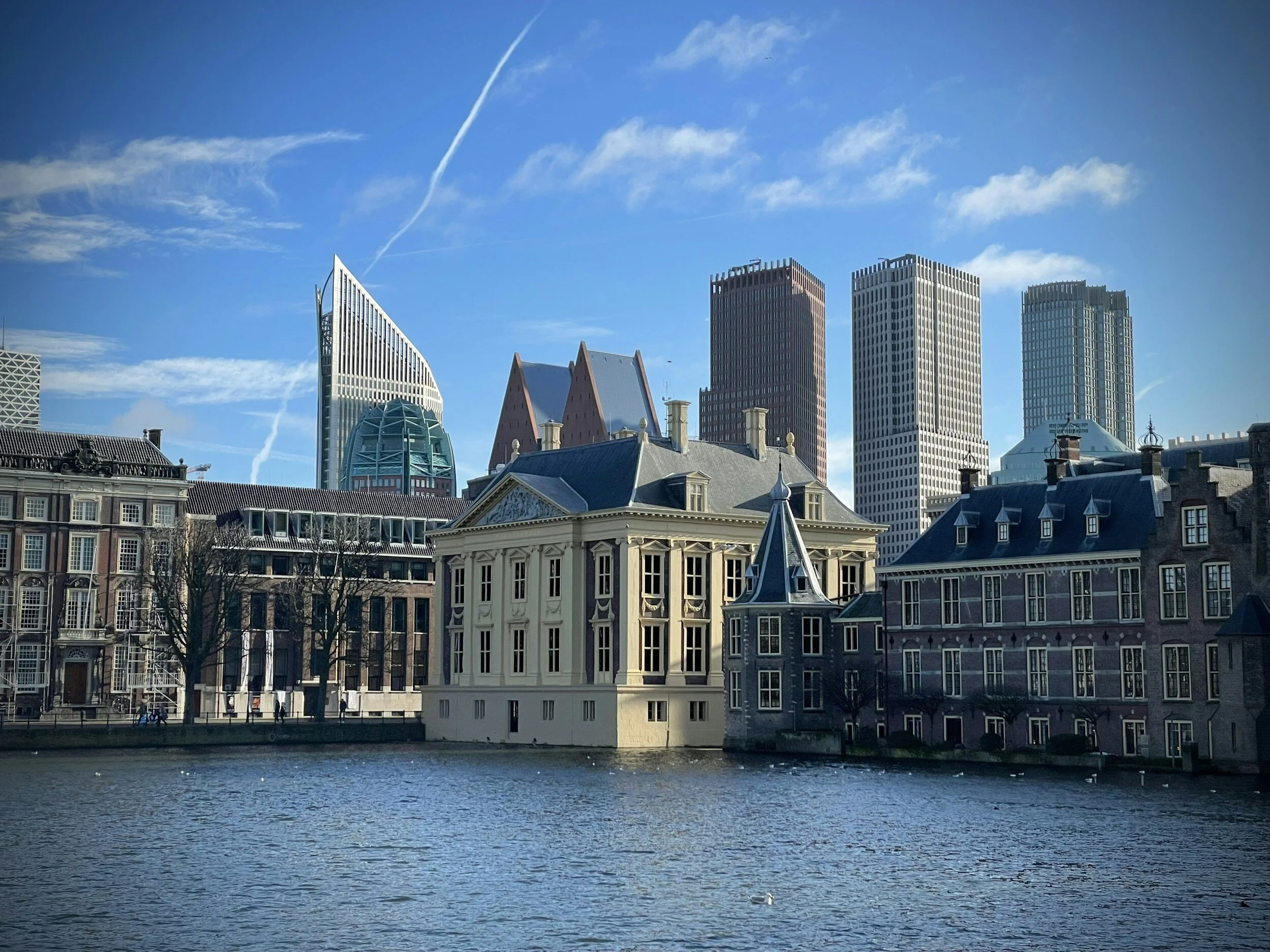 Basic Pranic Healing - Den Haag