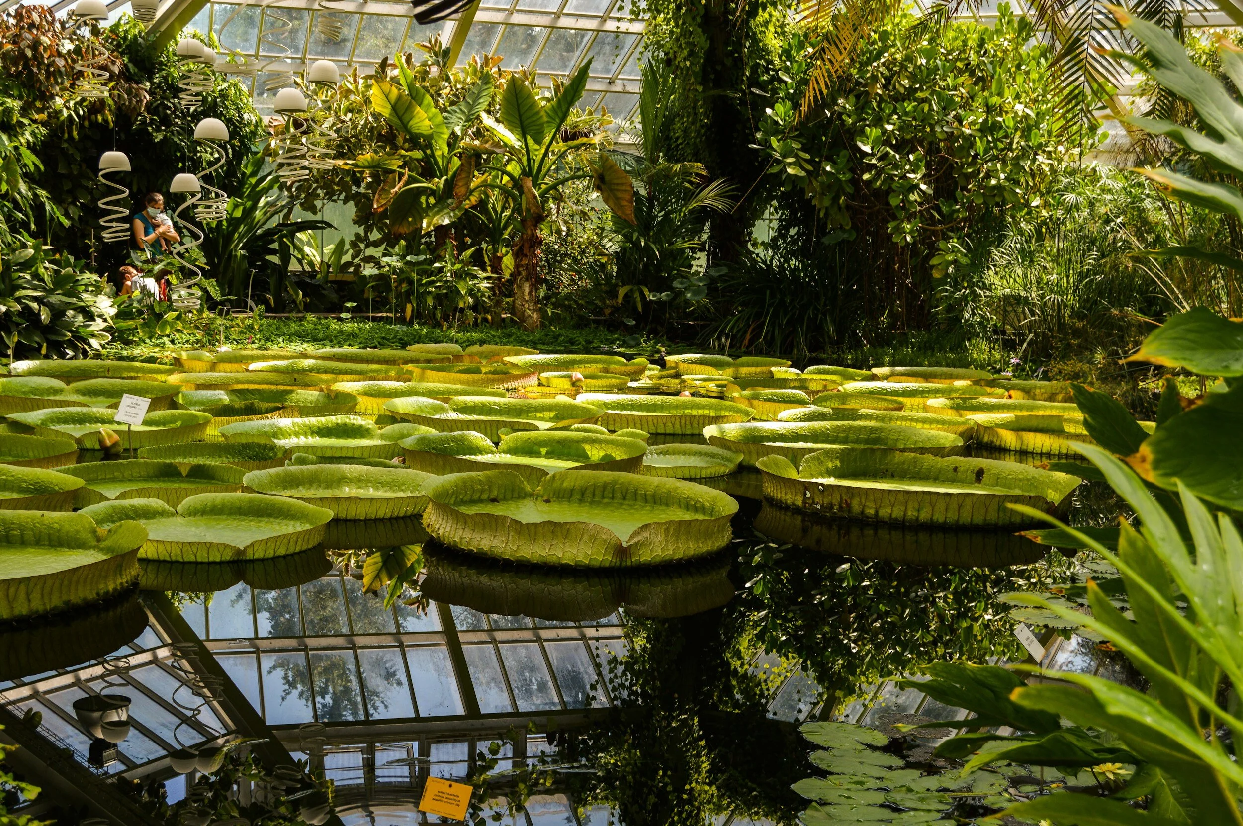 Pranic Psychotherapy - Belgium