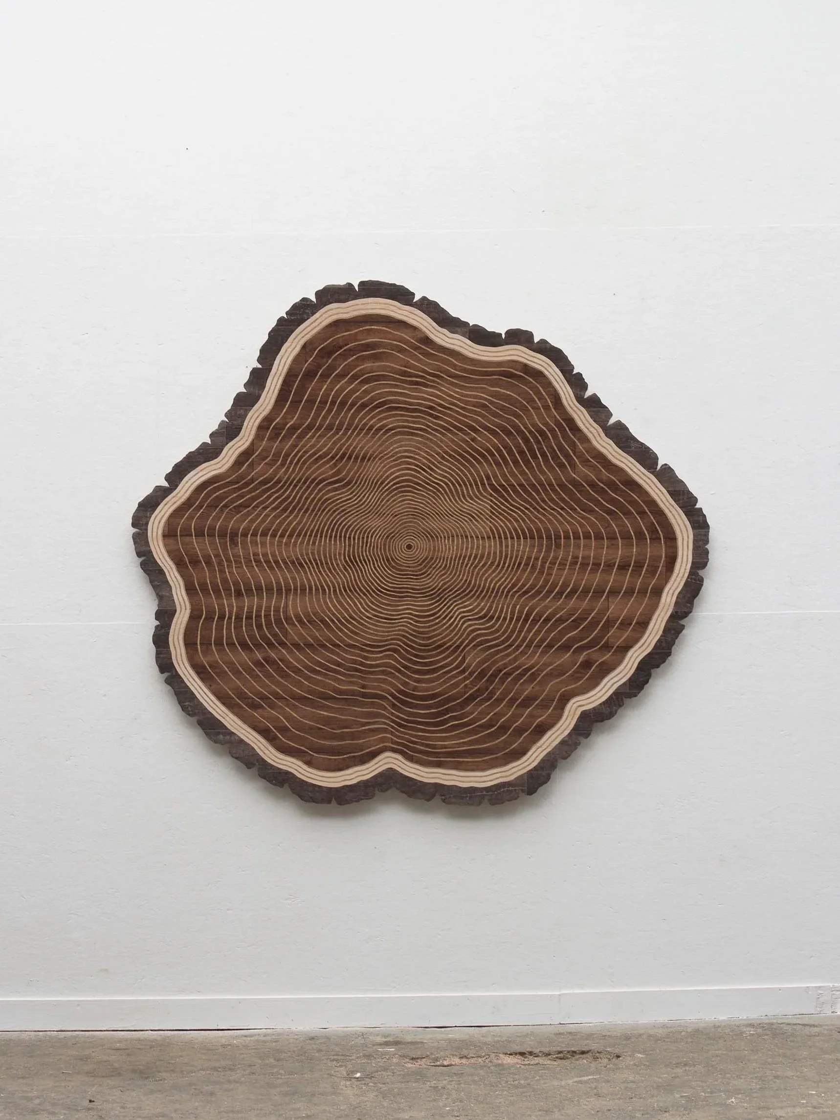 GROWTH RINGS  [2015]