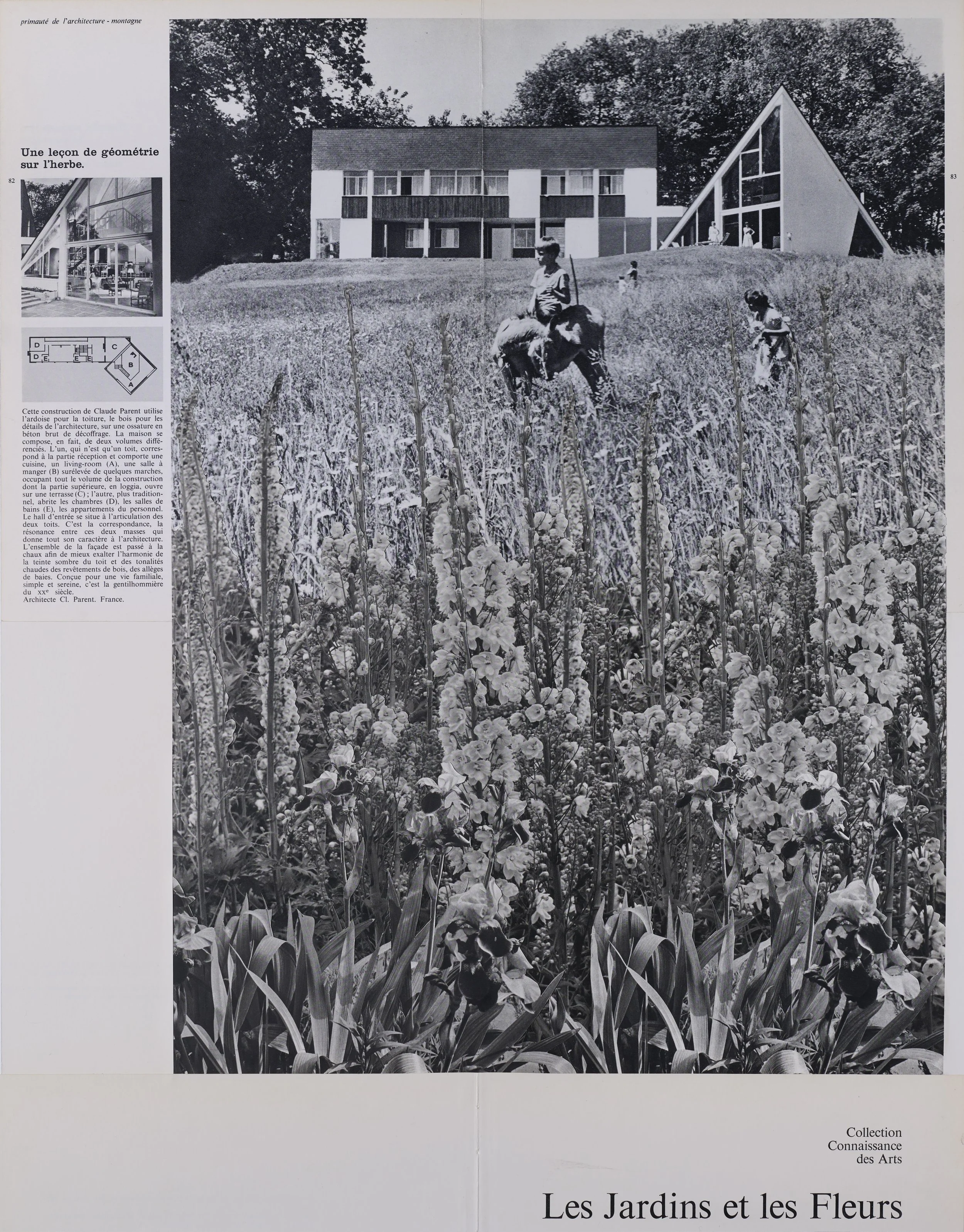 "UNE LEÇON DE GÉOMÉTRIE SUR L'HERBE"