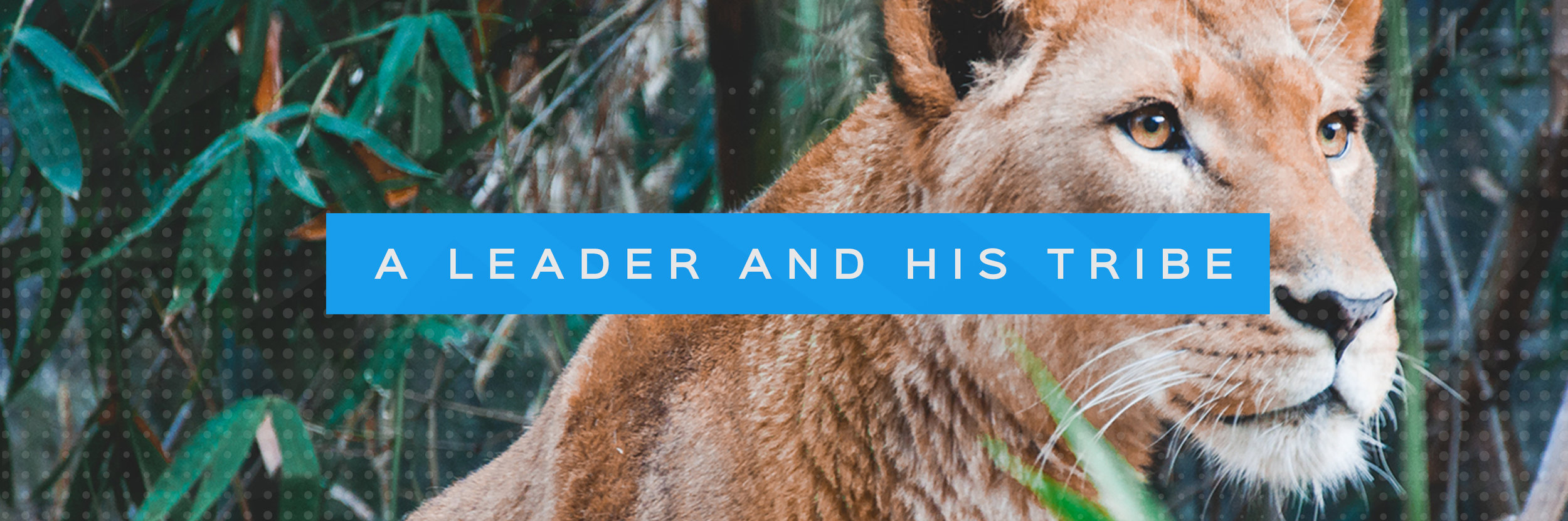 Blog1_Friedenberg_Header.png
