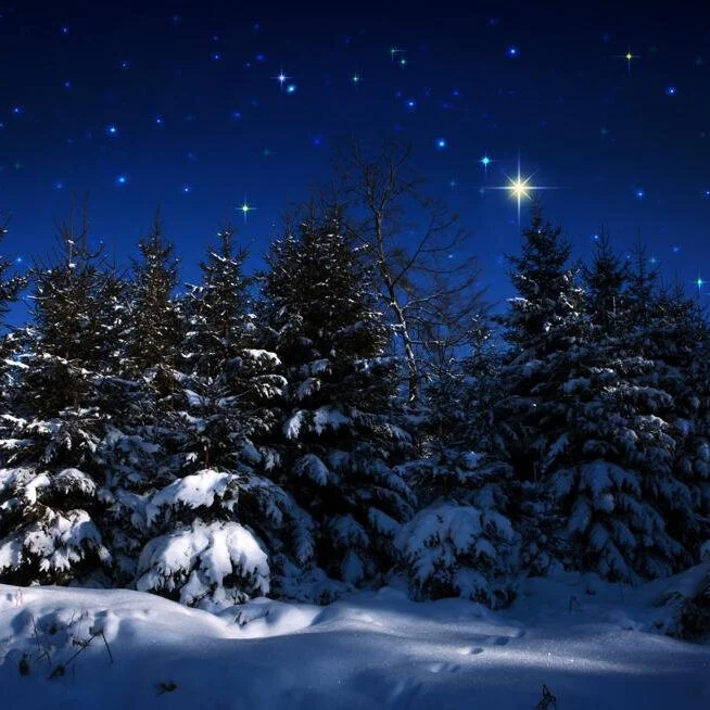 "A Christmas Carol" Virtual Performance