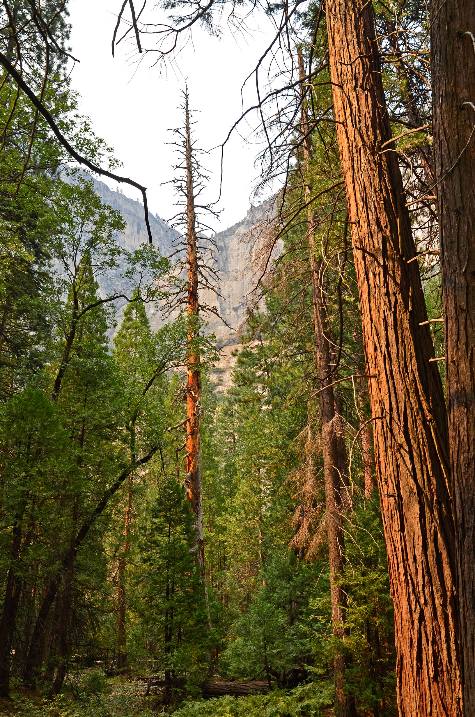 Yosemite National Park