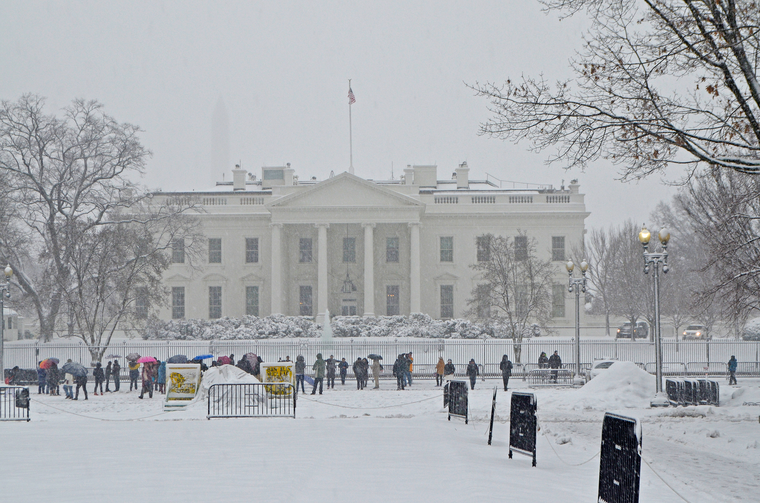 The White House