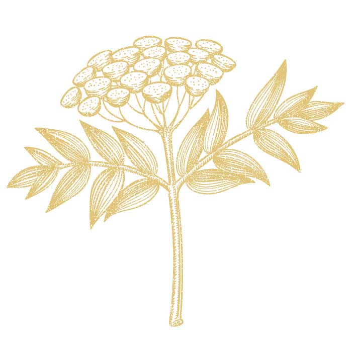 flowers-1.jpg