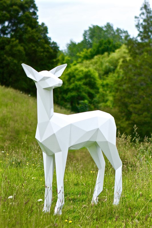 WhiteDeer (5).jpg