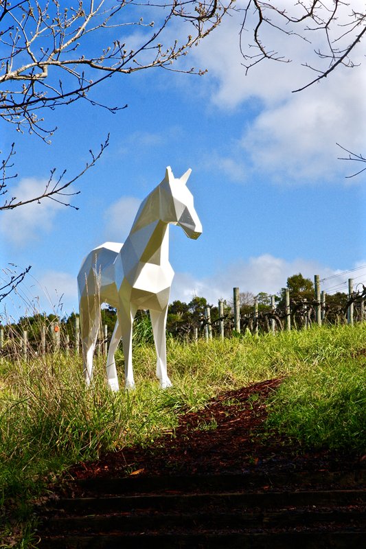 The White Horse (4).jpg