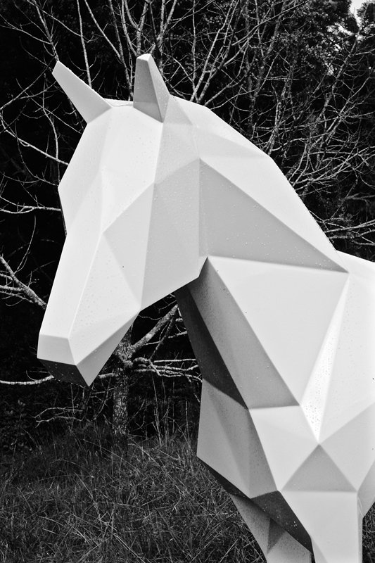 The White Horse (6).jpg