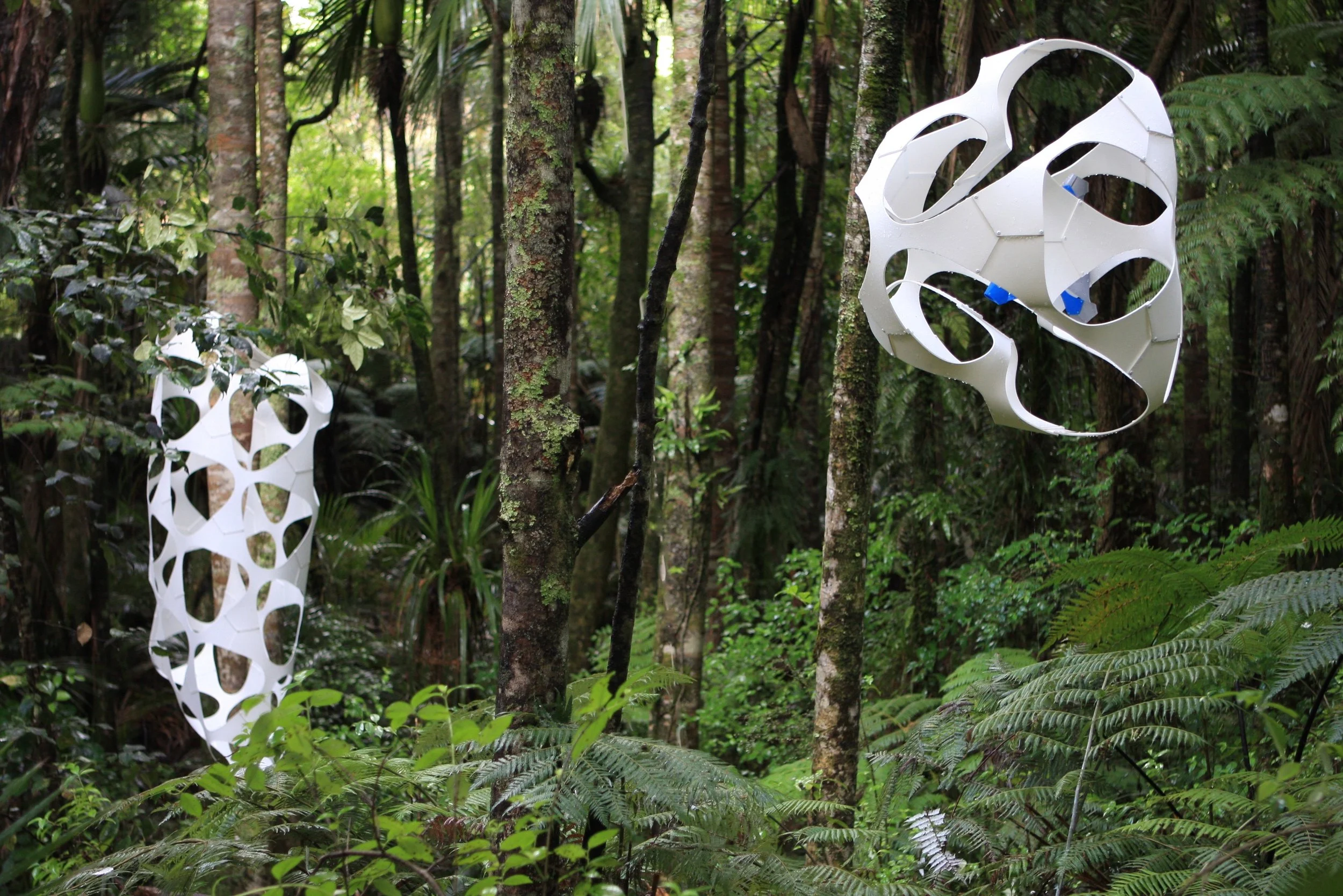 Counterbalancing Entropy & Liquid Symmetry