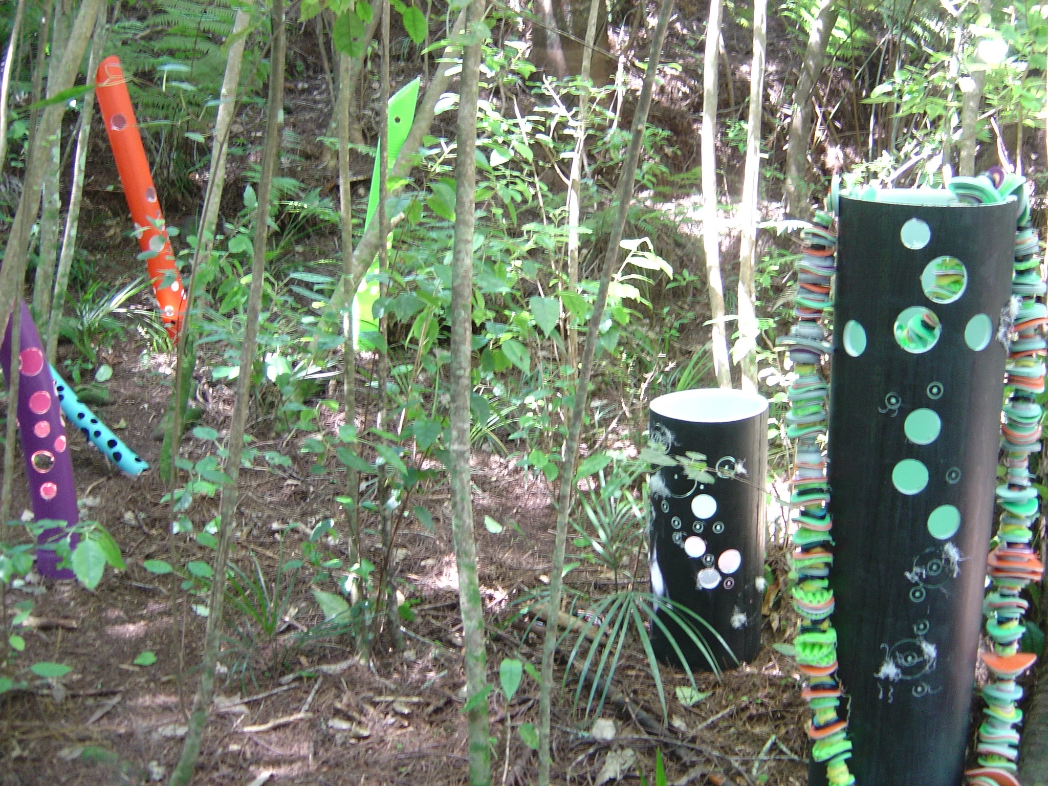 brydee pipus 001.jpg