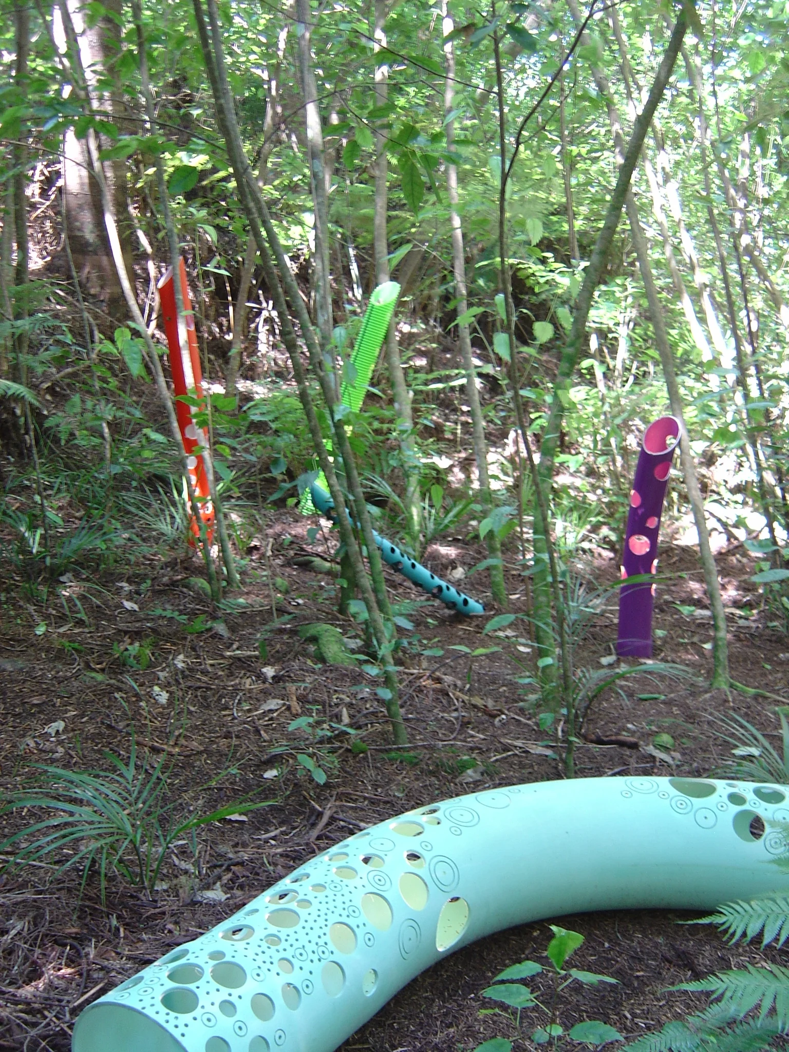 brydee pipus 008.jpg