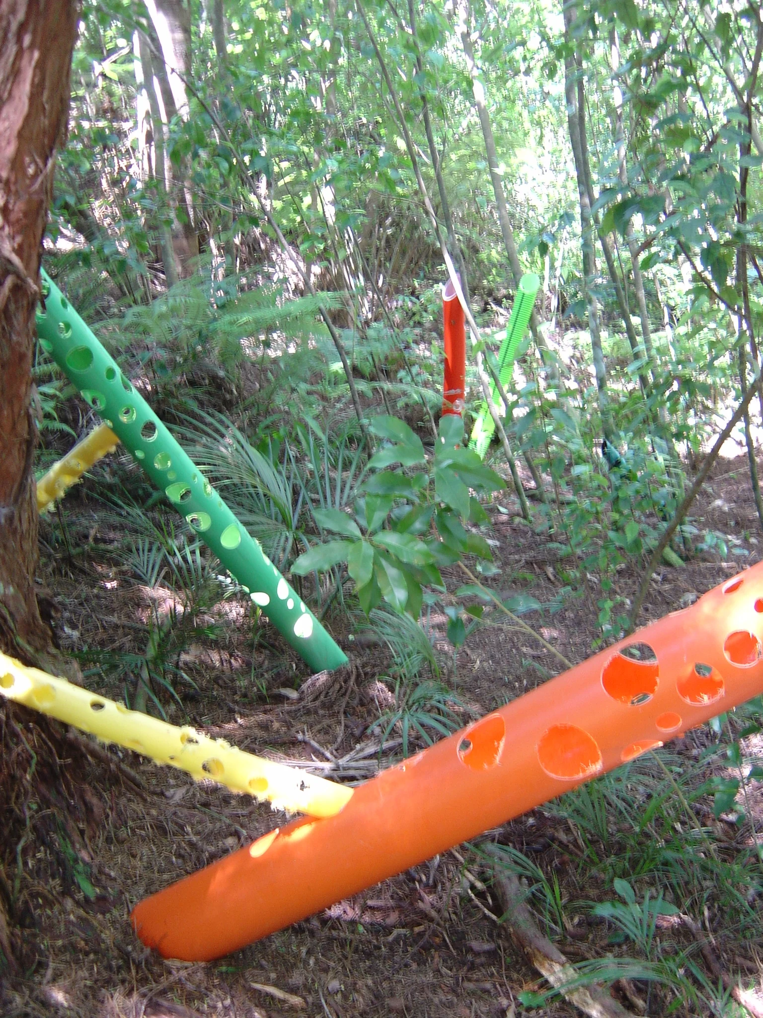 brydee pipus 006.jpg