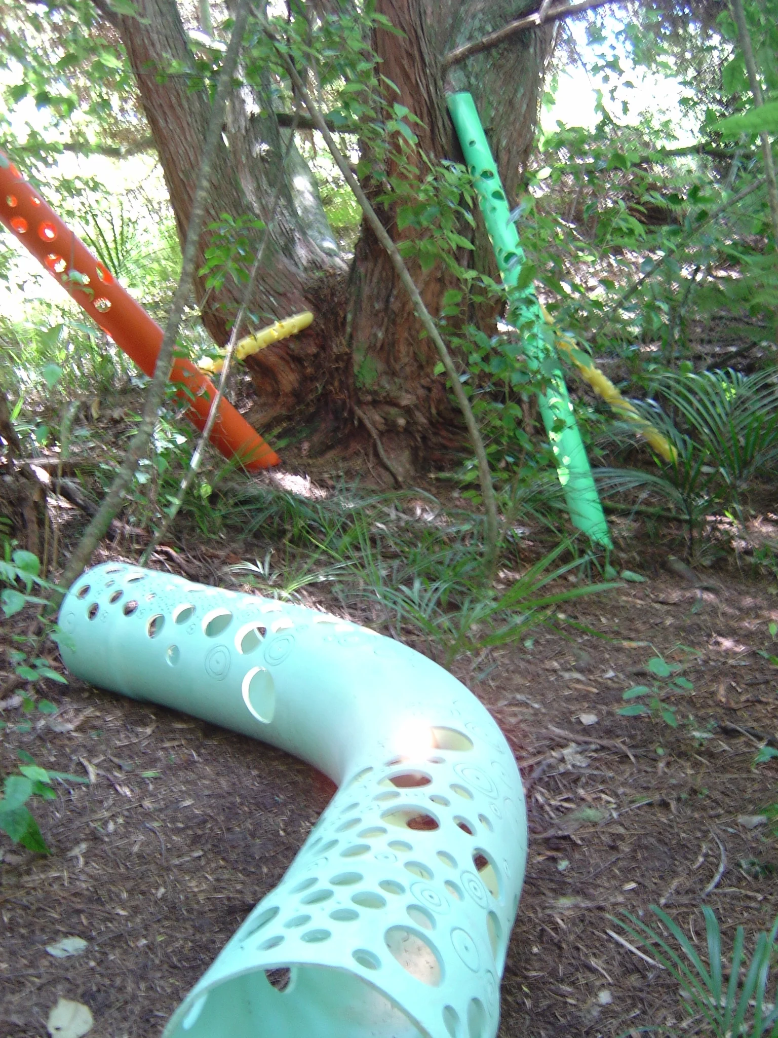 brydee pipus 004.jpg