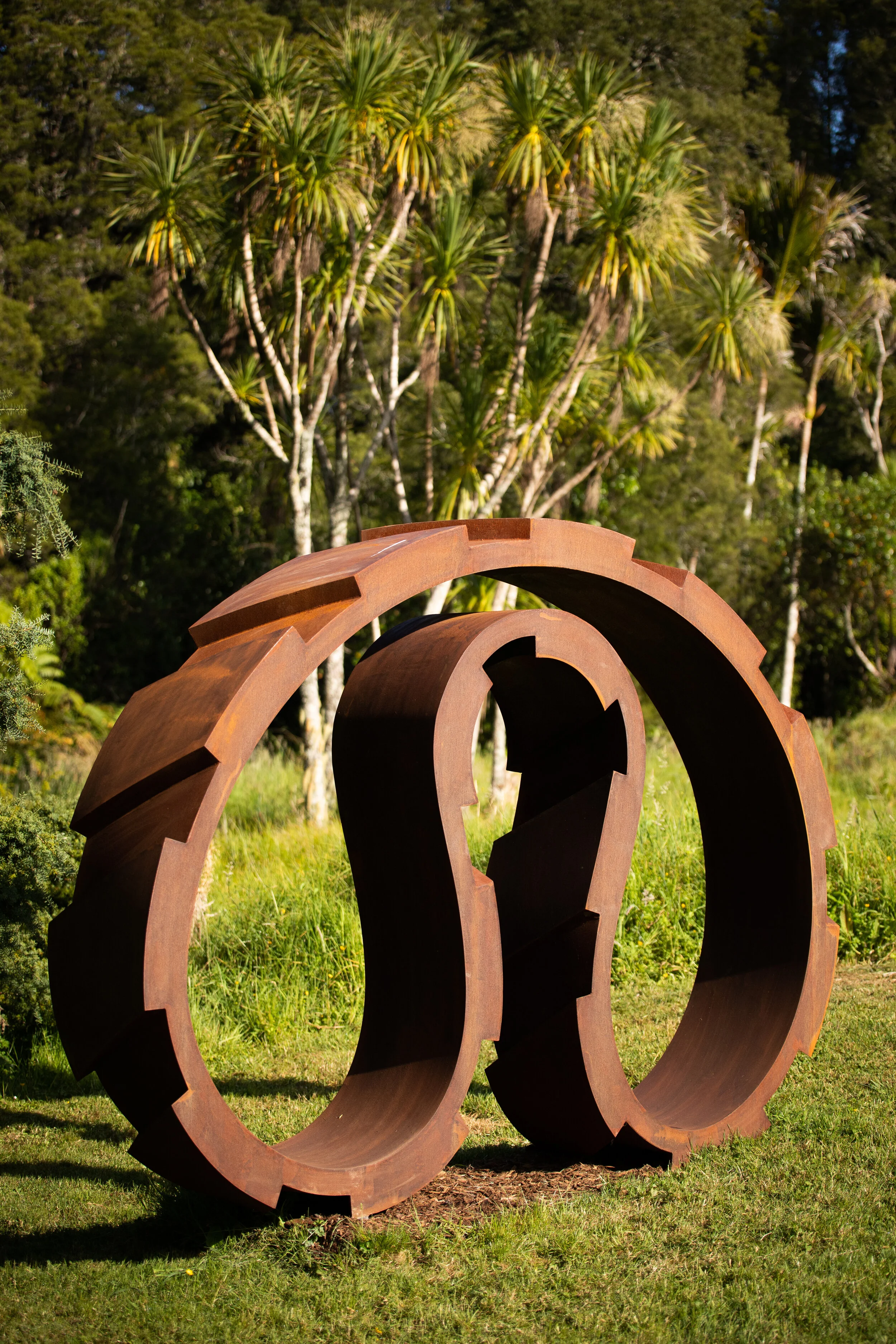 Involute and Transmission