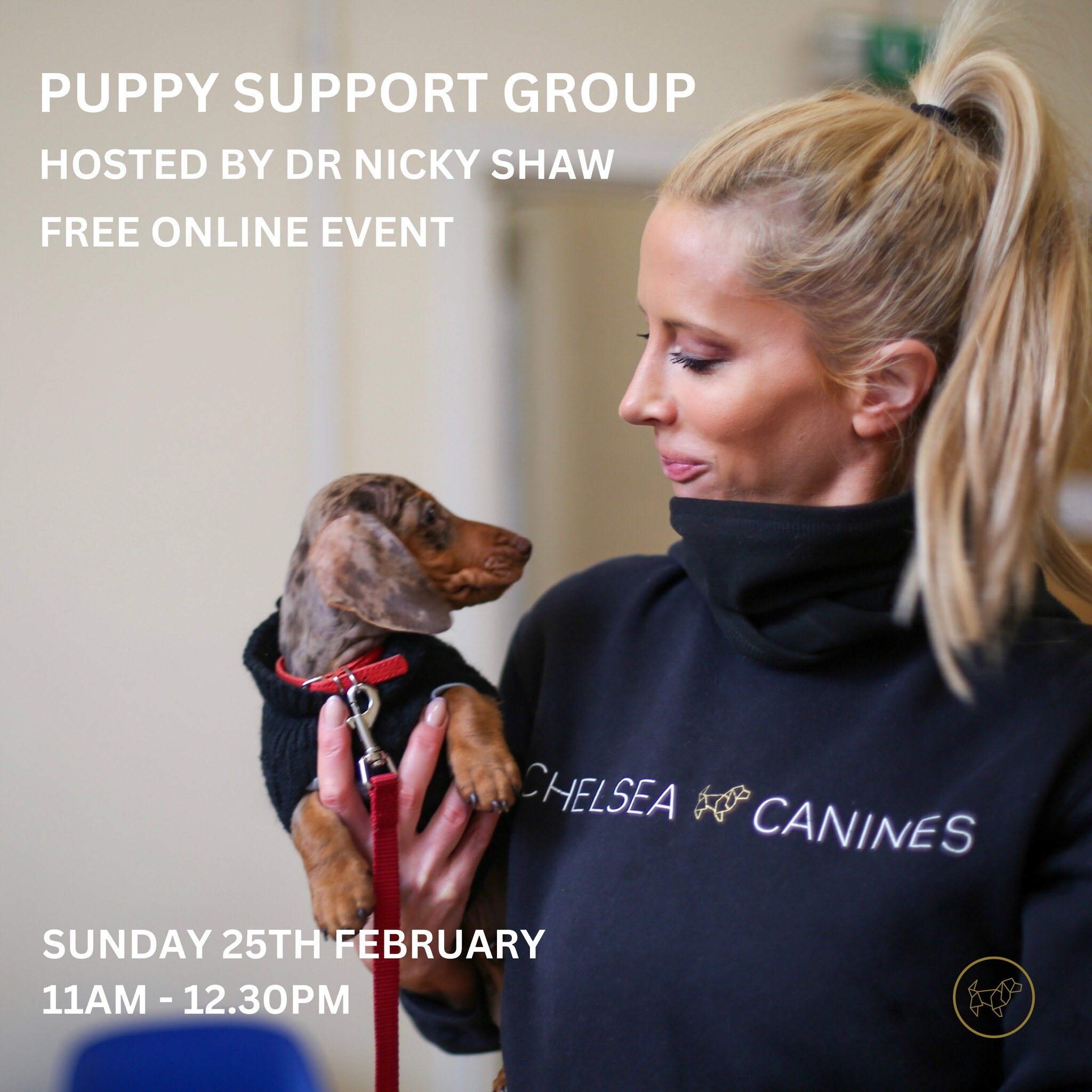Calling all puppy parents! I will be hosting another online puppy support group via Zoom on Sunday 25th February from 11am-12.30pm.

Newbies, Chelsea Canines graduates and current school attendees are all welcome. Drop by for a friendly chat and ask 