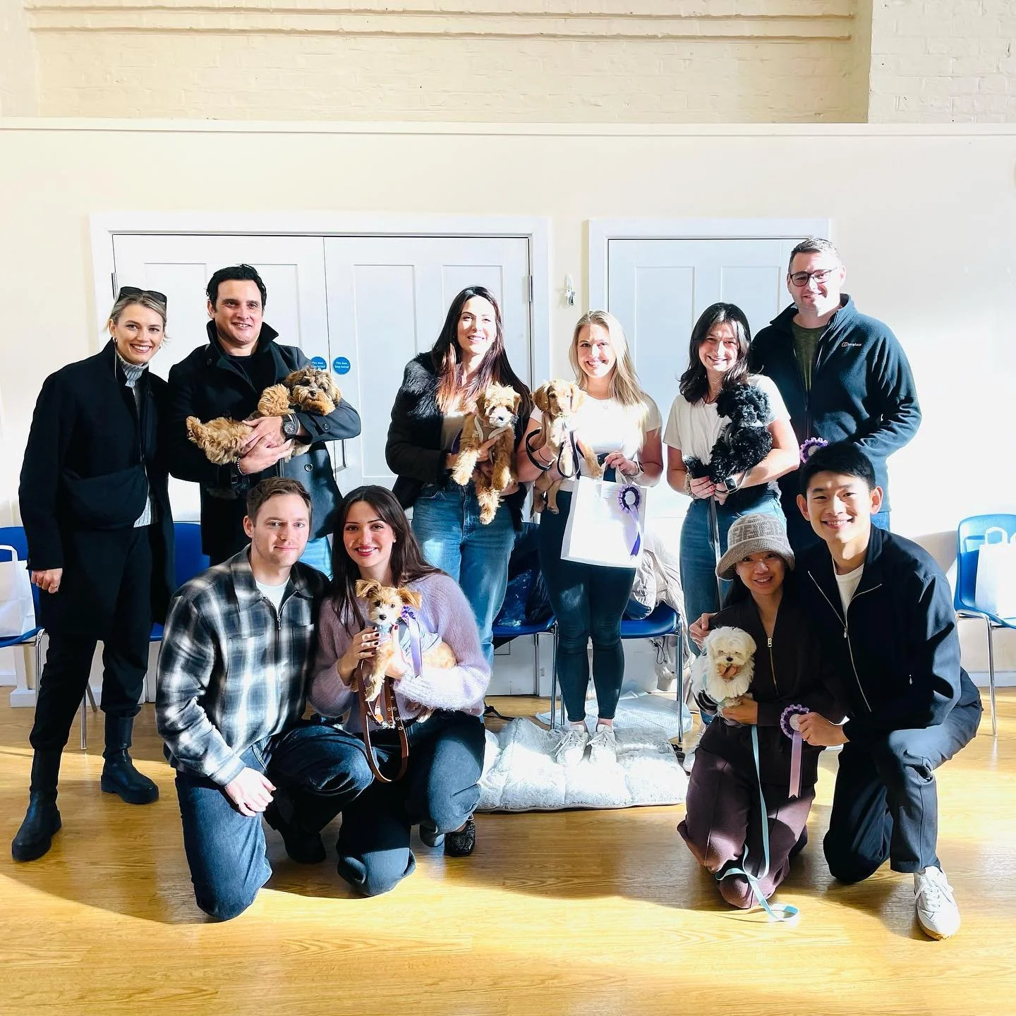 Congratulations October Puppy Grads! 🎉🎓🌟 You have been an absolute joy and I shall miss you very much. Go forth and stay fabulous! Xx.  @thearchieedit_ @artyakaarthur @roddy.bear @mrhappydougedebordeaux