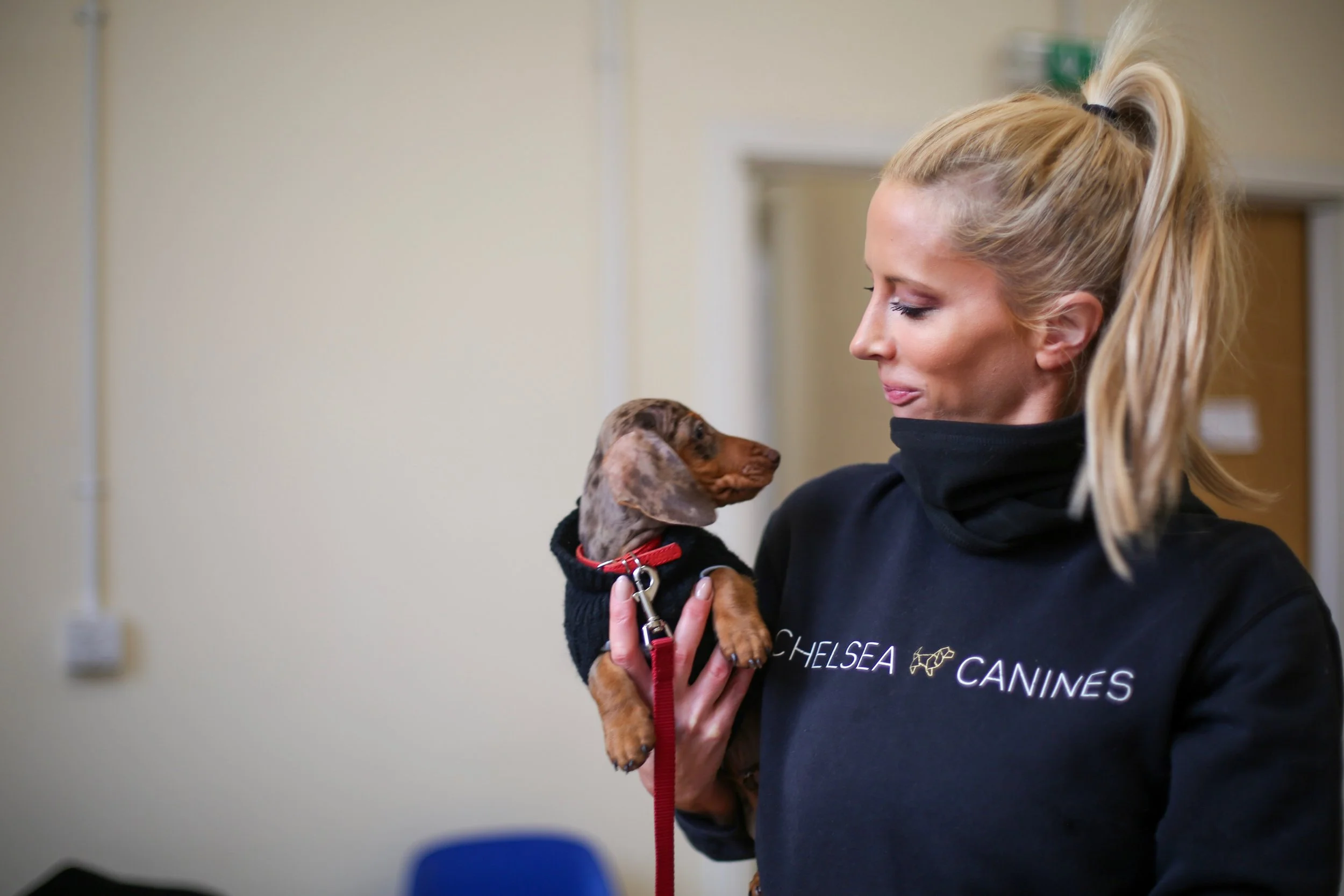 Registered Clinical Animal Behaviourist