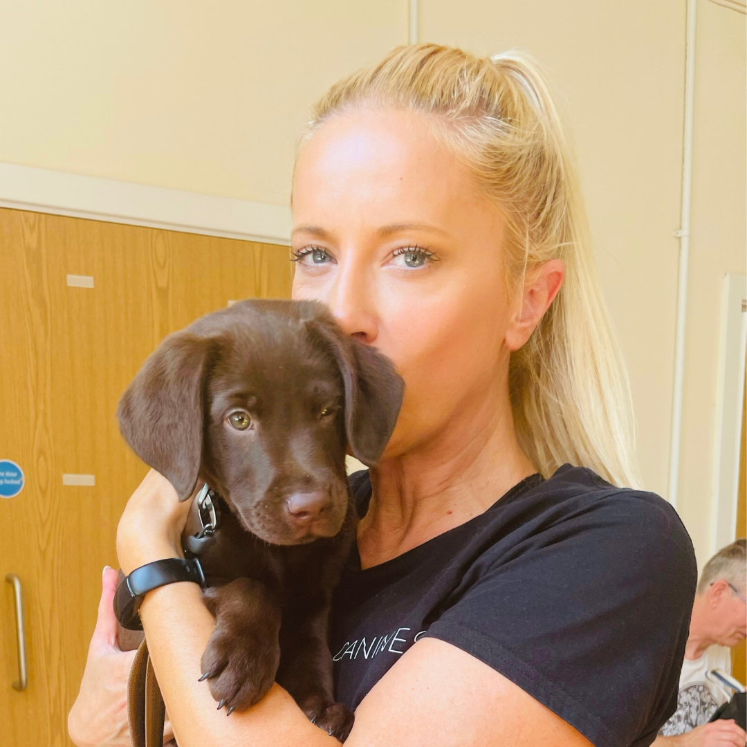 Zoom pre-puppy/puppy consultation