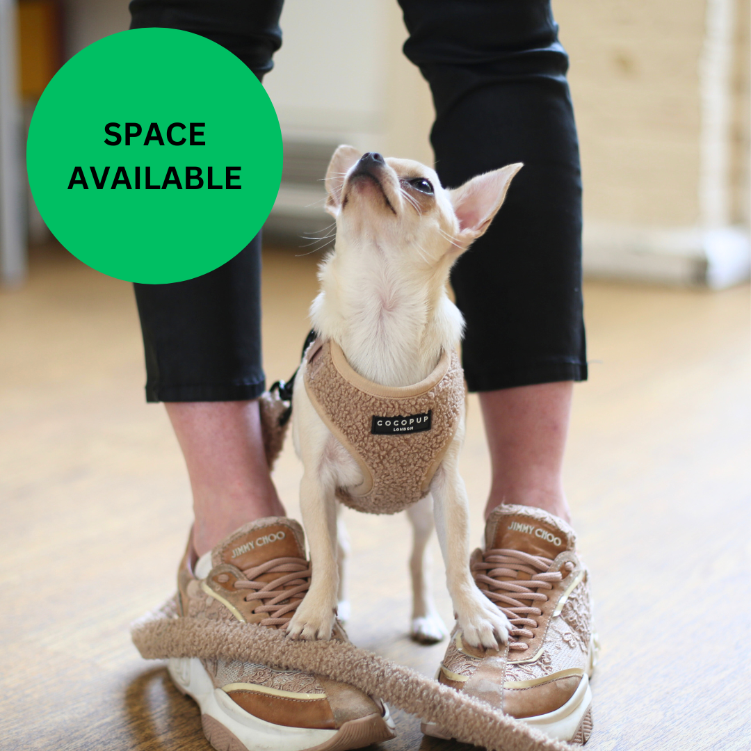 Copy of Copy of Untitled (2) copy 3.png