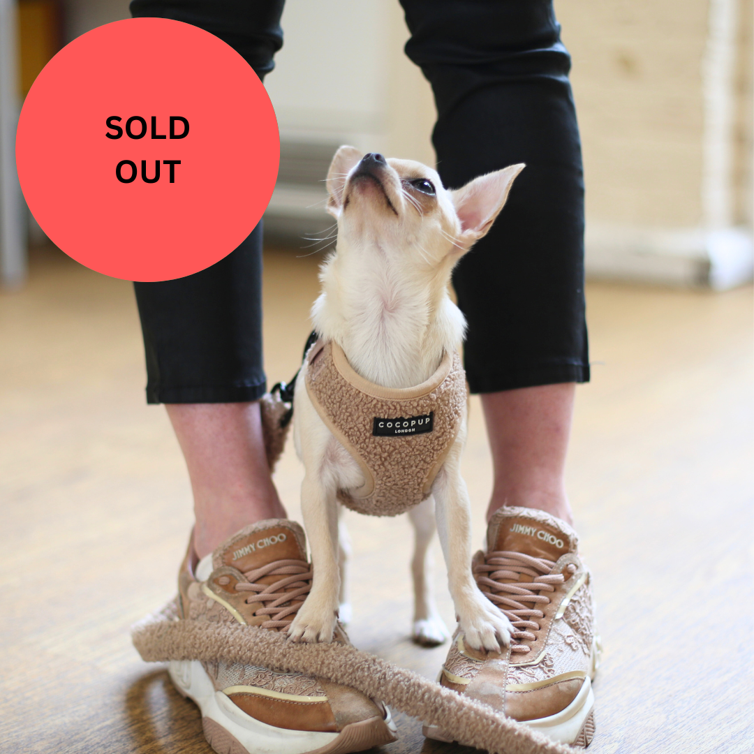 SOLD OUT Puppy School Five-Weeks Starts Saturday 7th June 10am