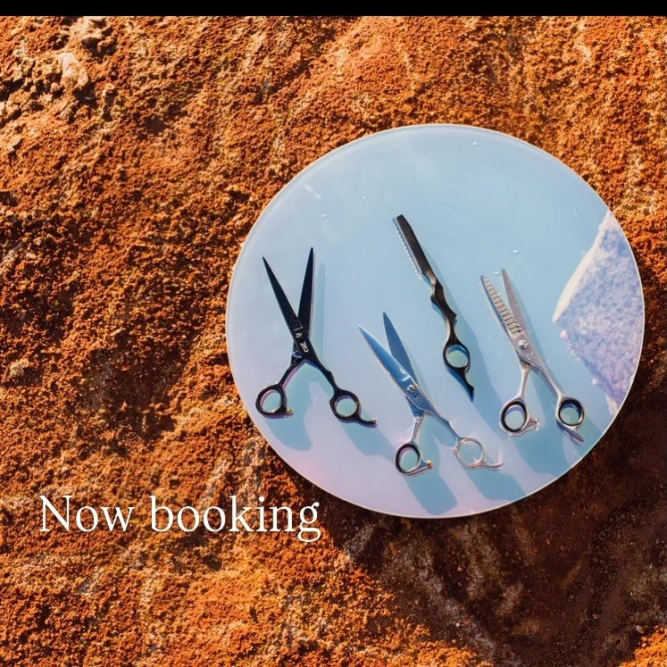 Now booking starting on March 3rd!! 
My temporary hours are as follows: 
Tuesdays 10-4
Wednesdays 12-7 
Thursdays 10-4
I&rsquo;ll be offering a 10% discount for return clients for the month of March, but I will also be accepting new clients 
You can 