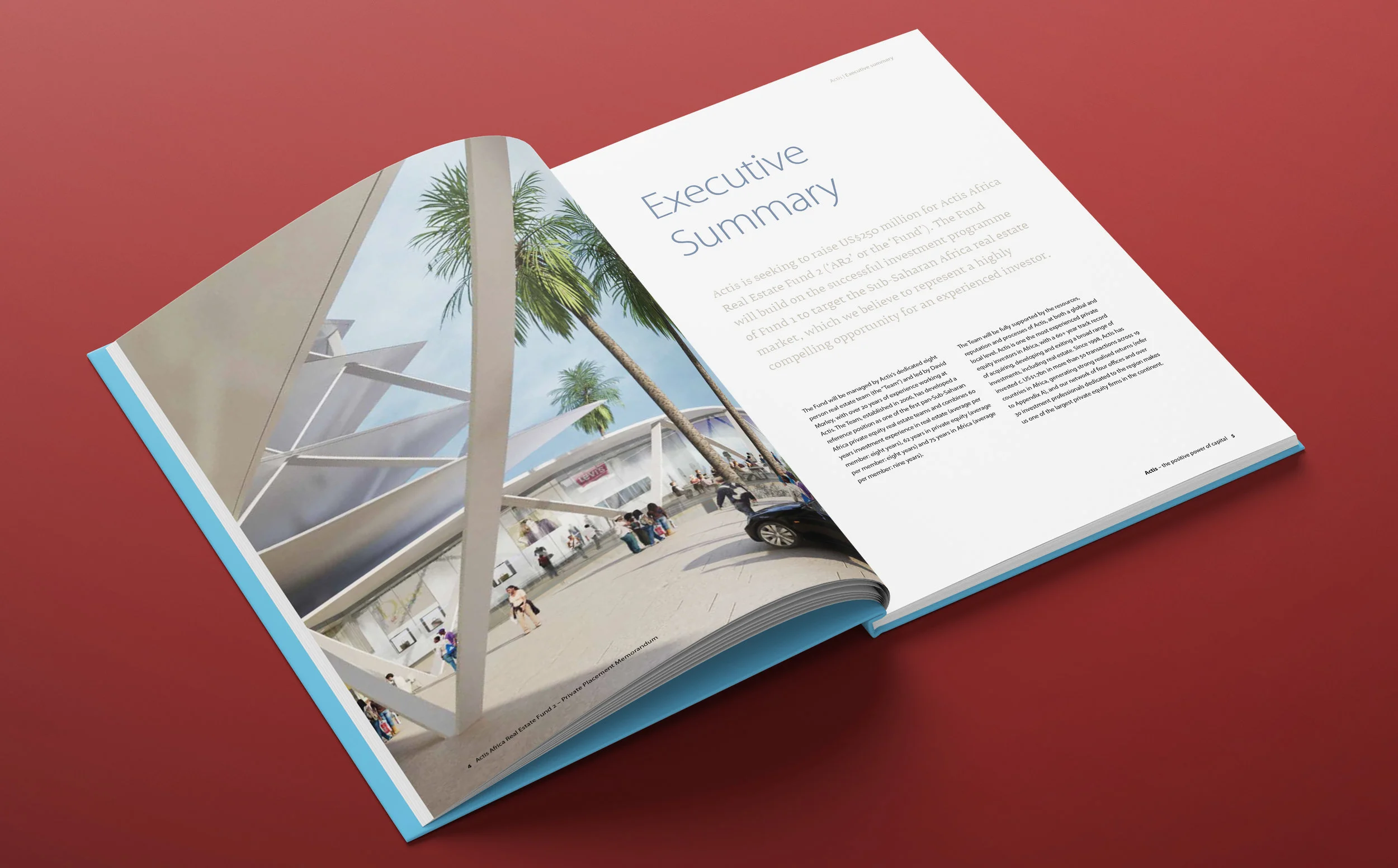 Actis PPM 2019 V2.jpg