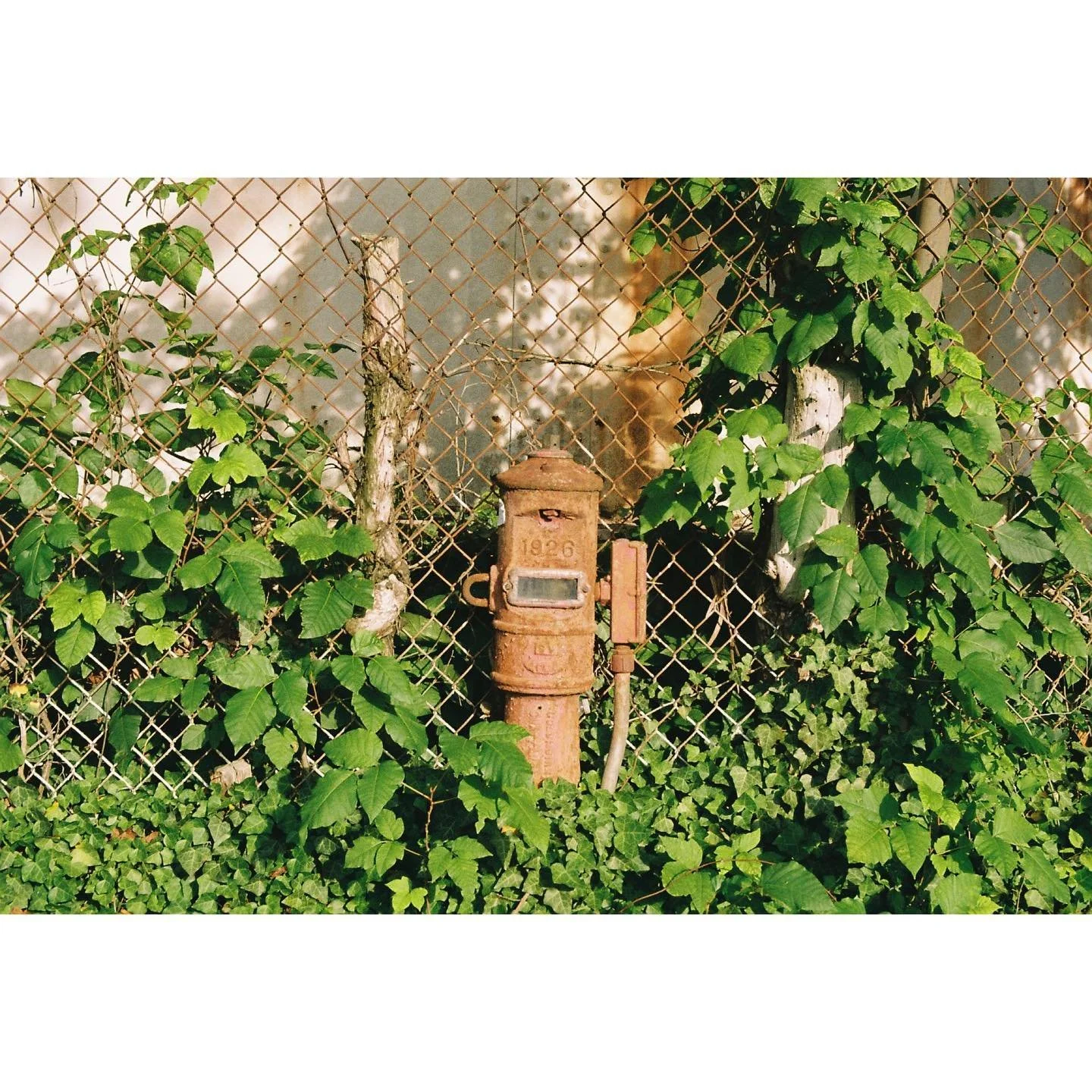 NC 02022 ::: #fujifilm200 #35mm