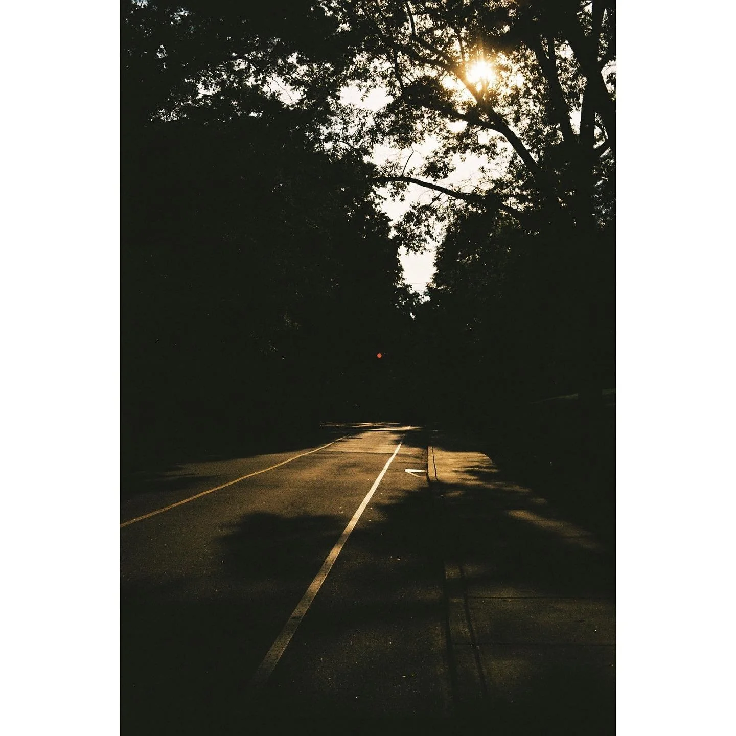 NC 02022 ::: #fujifilm200 #35mm