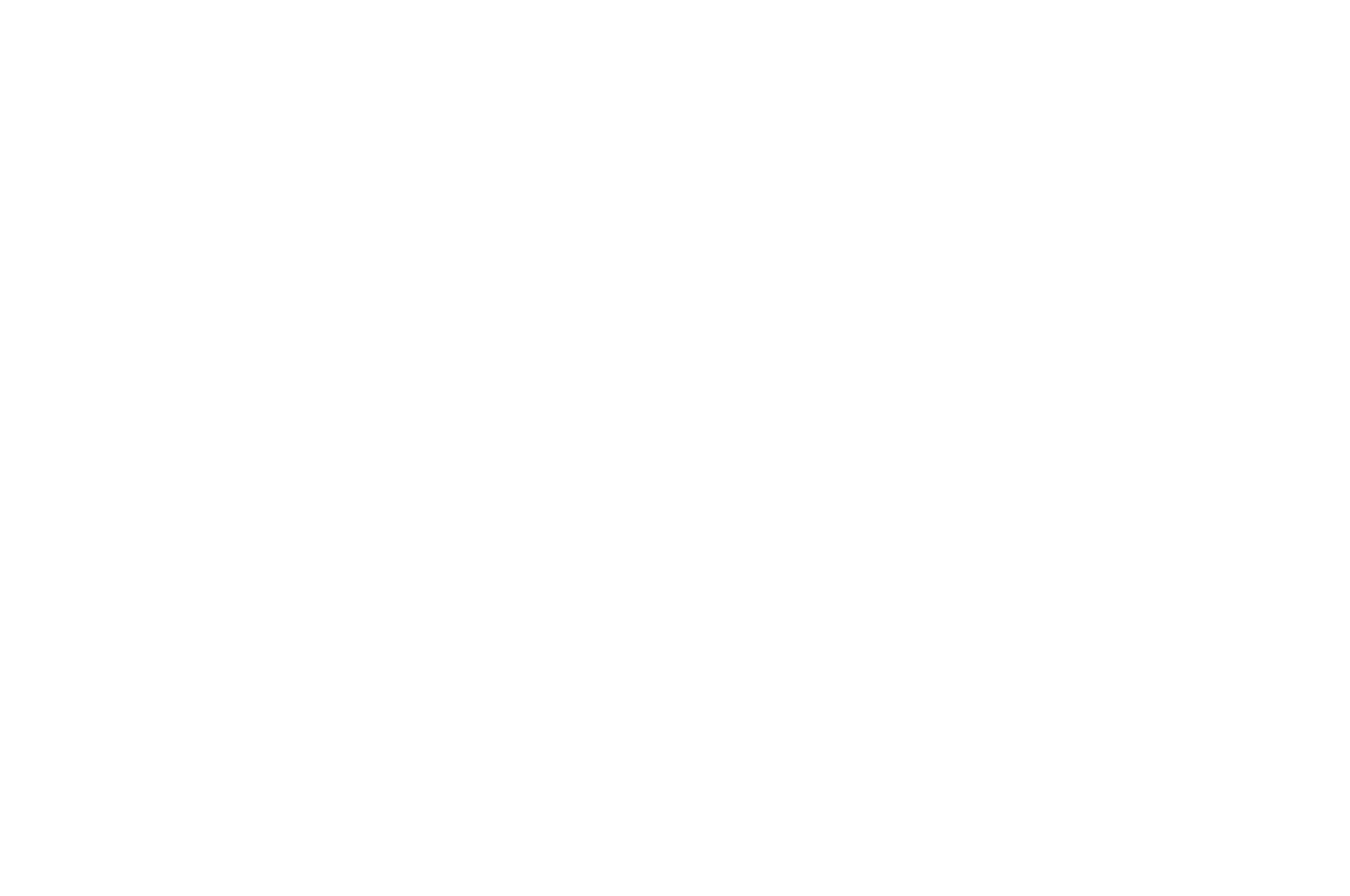 OFFICIAL SELECTION - Aesthetica Film Festival - 2020.png