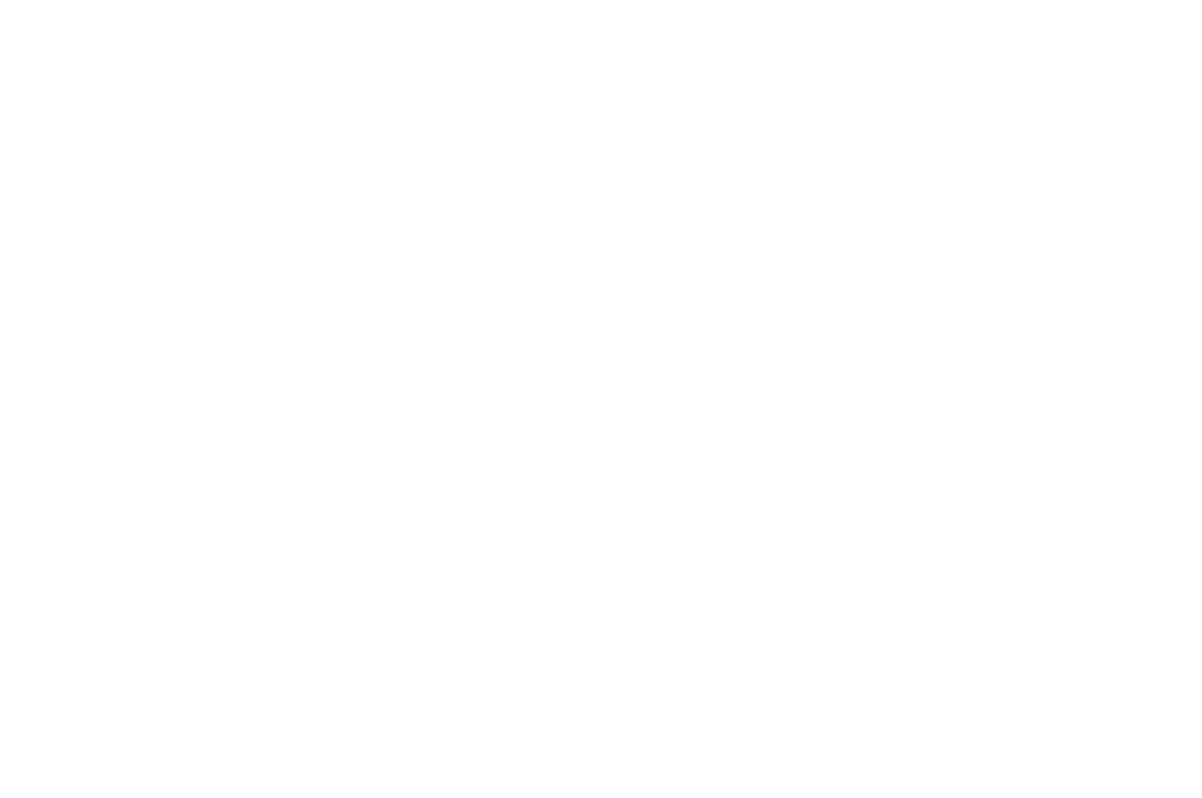 OFFICIAL SELECTION - Dance On Screen Festival - 2021.png
