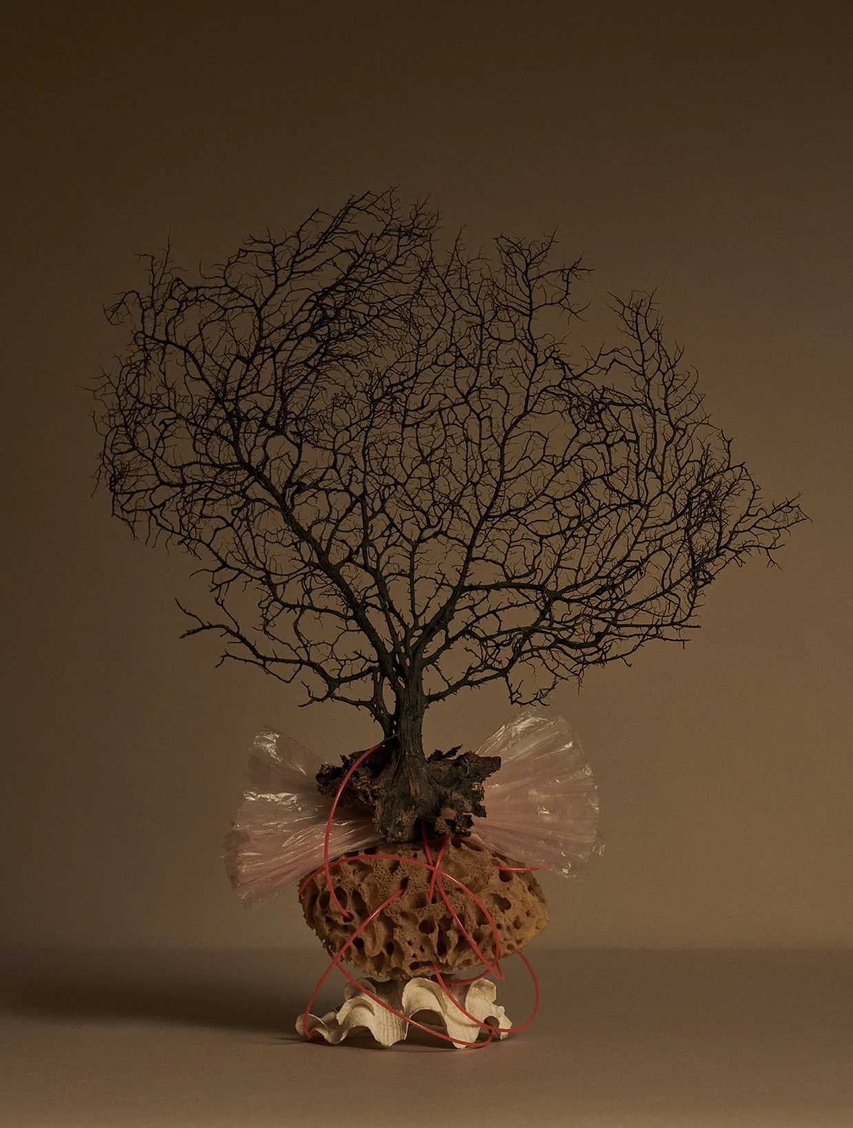 Beachcomber // Photography Ivona Chrzastek