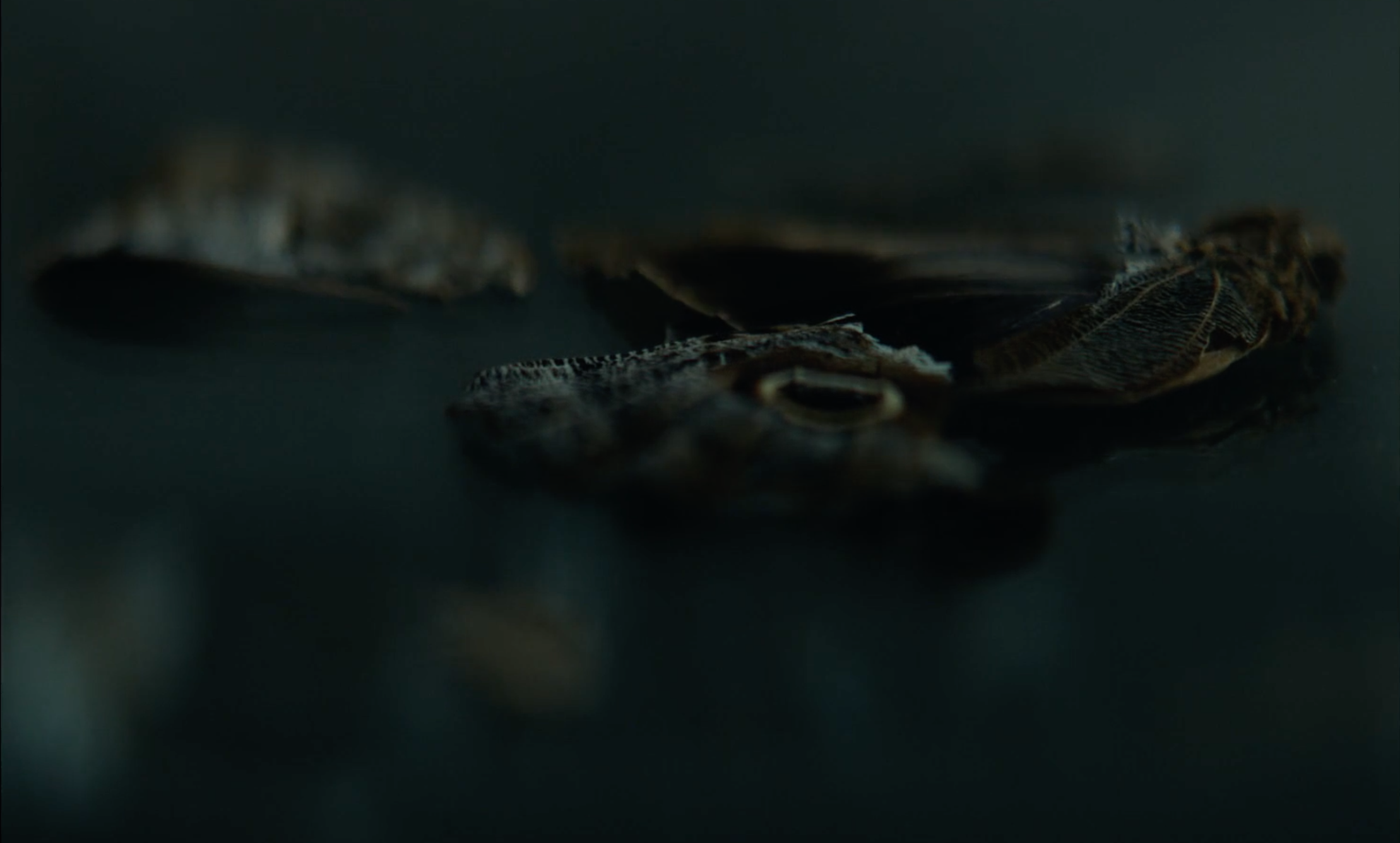 Capture d’écran 2026-04-30 à 15.28.16.png