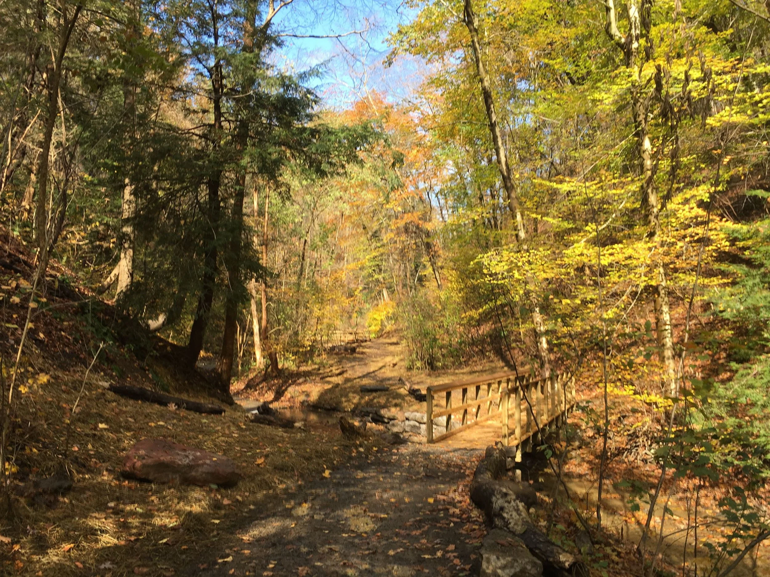 Fall Run Grand Reopening