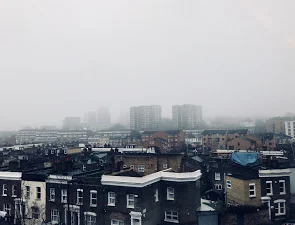 IMG_7181.jpg
