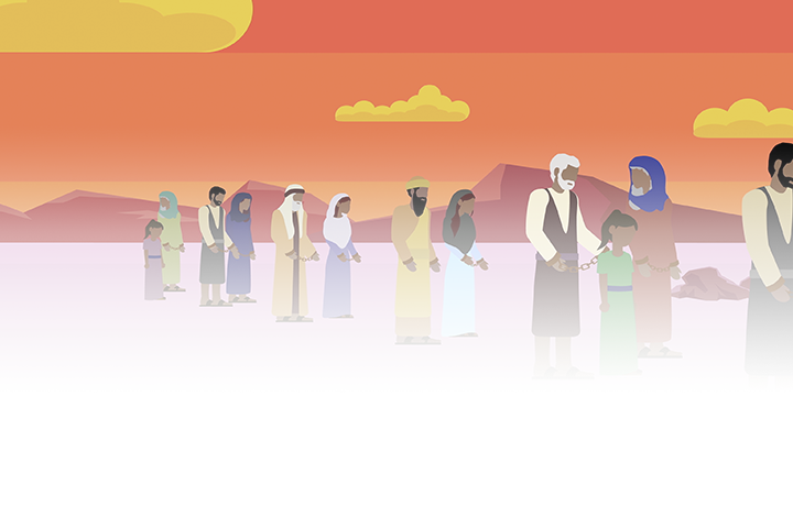 LOS PRINCIPIOS DE LA LIBERACIÓN