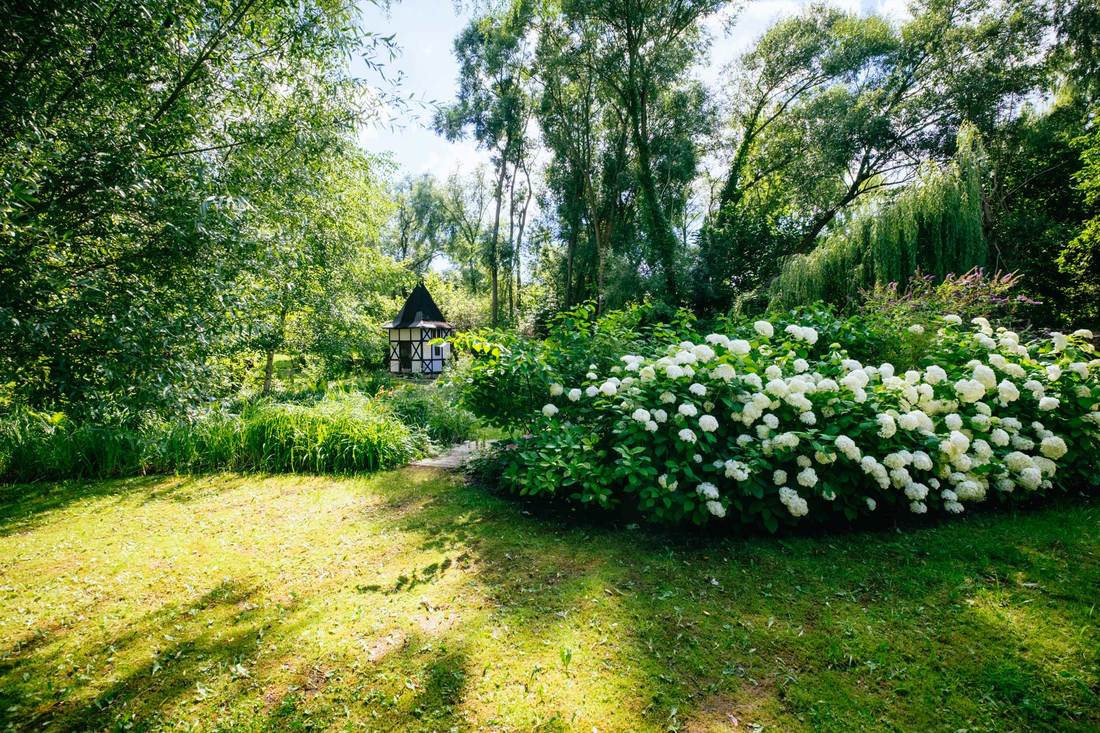 Summer Cleanse Getaway: Nourishing Yoga and Healthy Cooking