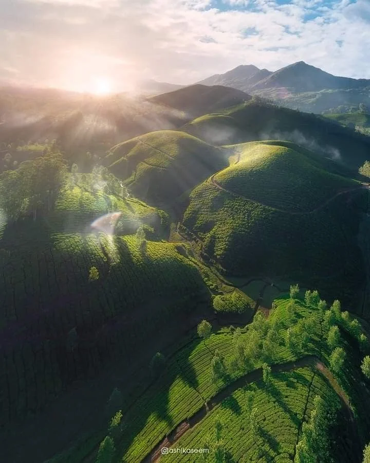 Munnar, kerala India.jpg