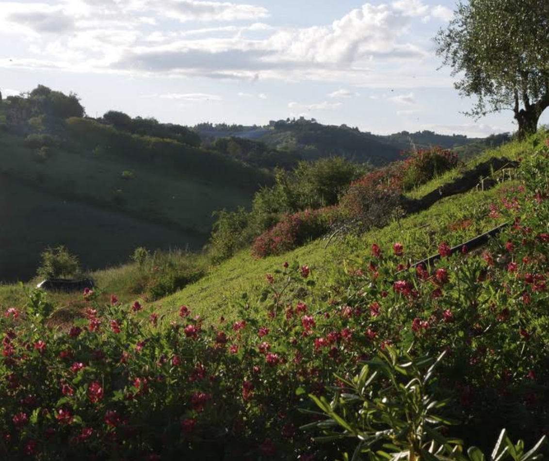 Screenshot 2026-03-16 at 15.02.17.png