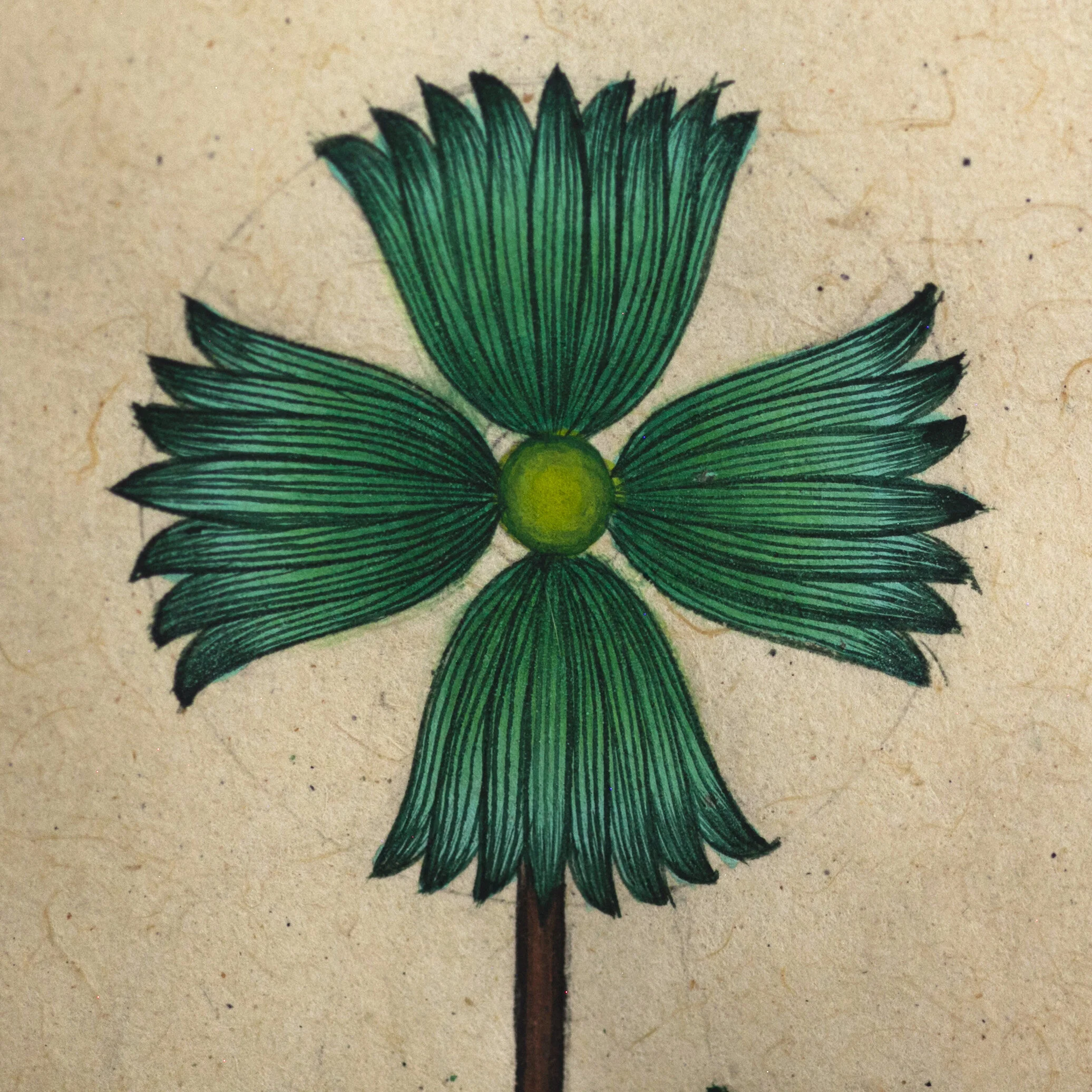 Drawing_long_03a EDITED.jpeg