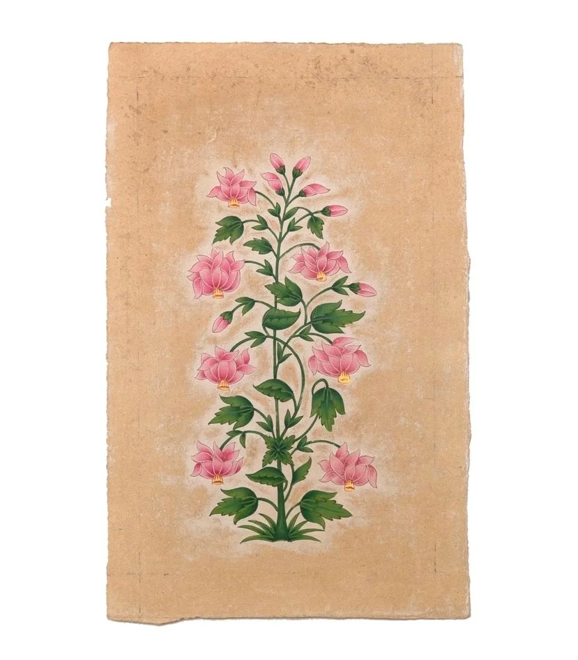 Pink Mughal Flower Plant